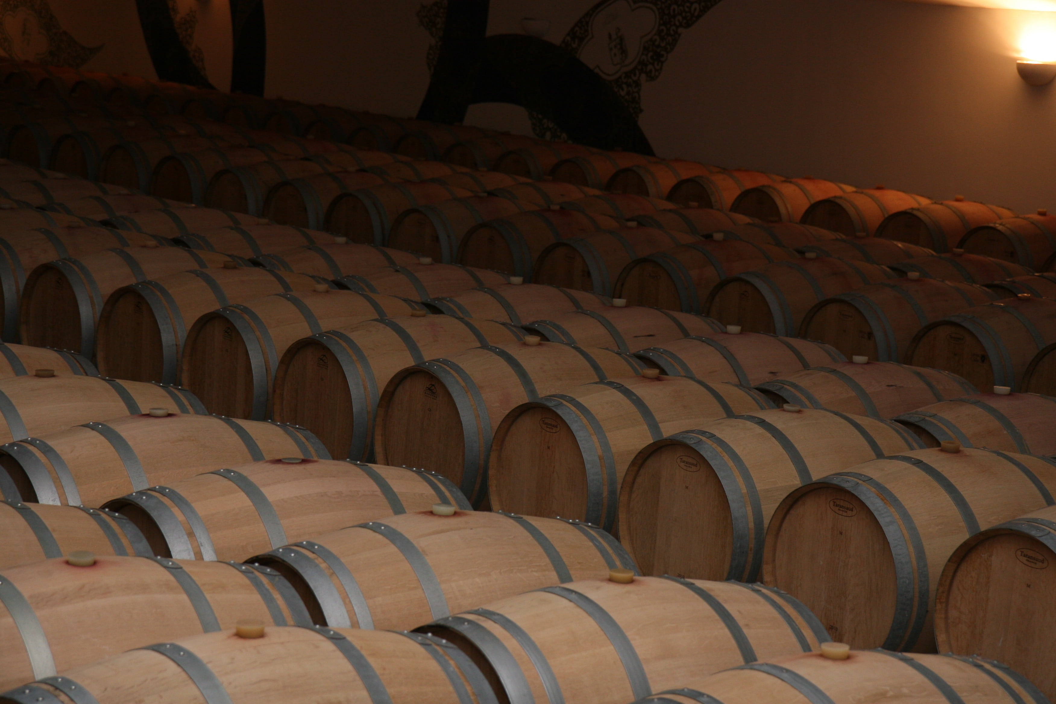 refreshment, vine, food and drink, in a row, wine, wine cellar, oak, indoors, wood - material, domestic room, storage, architecture, barrels, wine cask, HD Wallpaper
