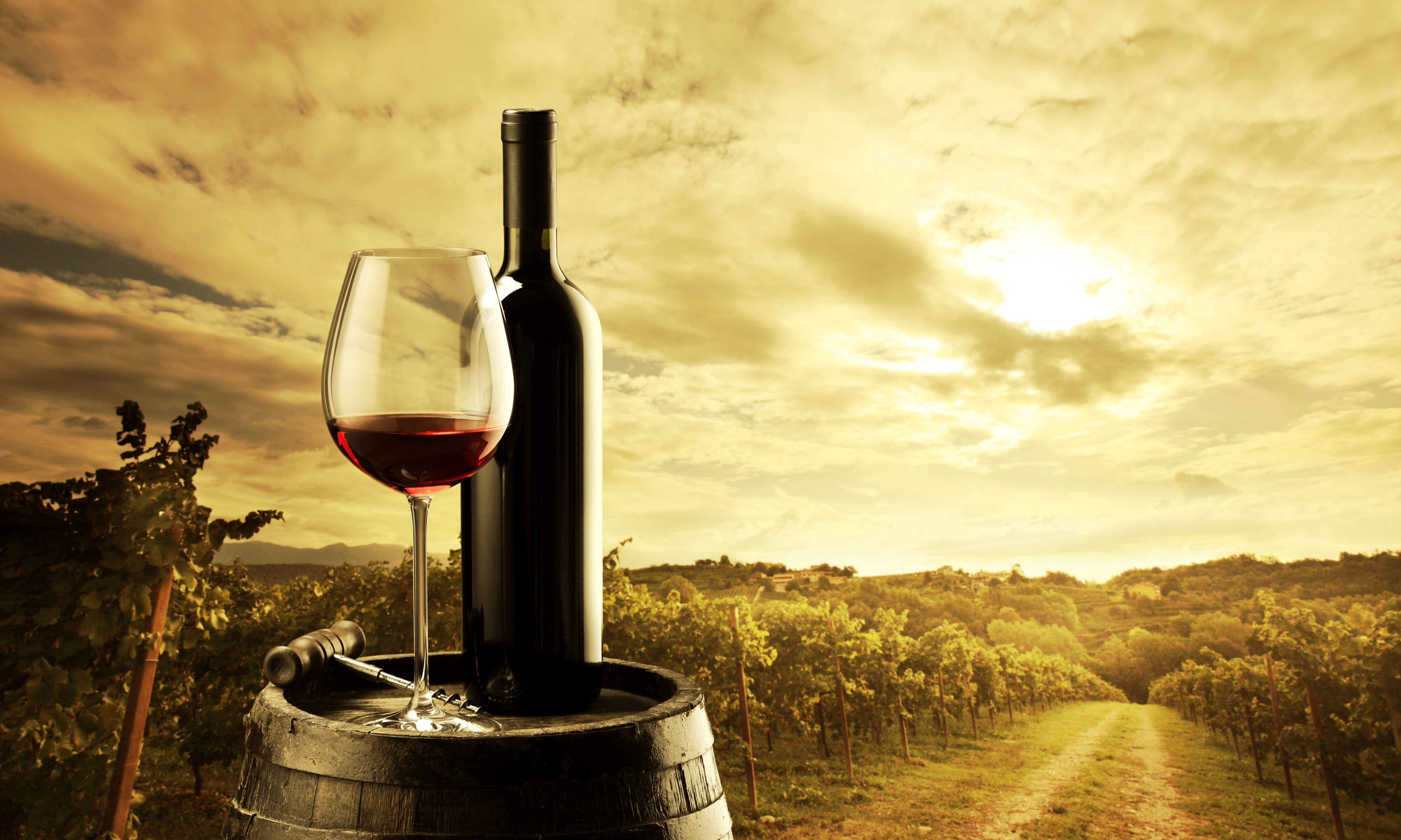 field, outdoors, wine bottle, bottle, container, no people, food and drink, 5K, the vineyards, beauty in nature, wineglass, red wine, alcohol, refreshment, HD Wallpaper