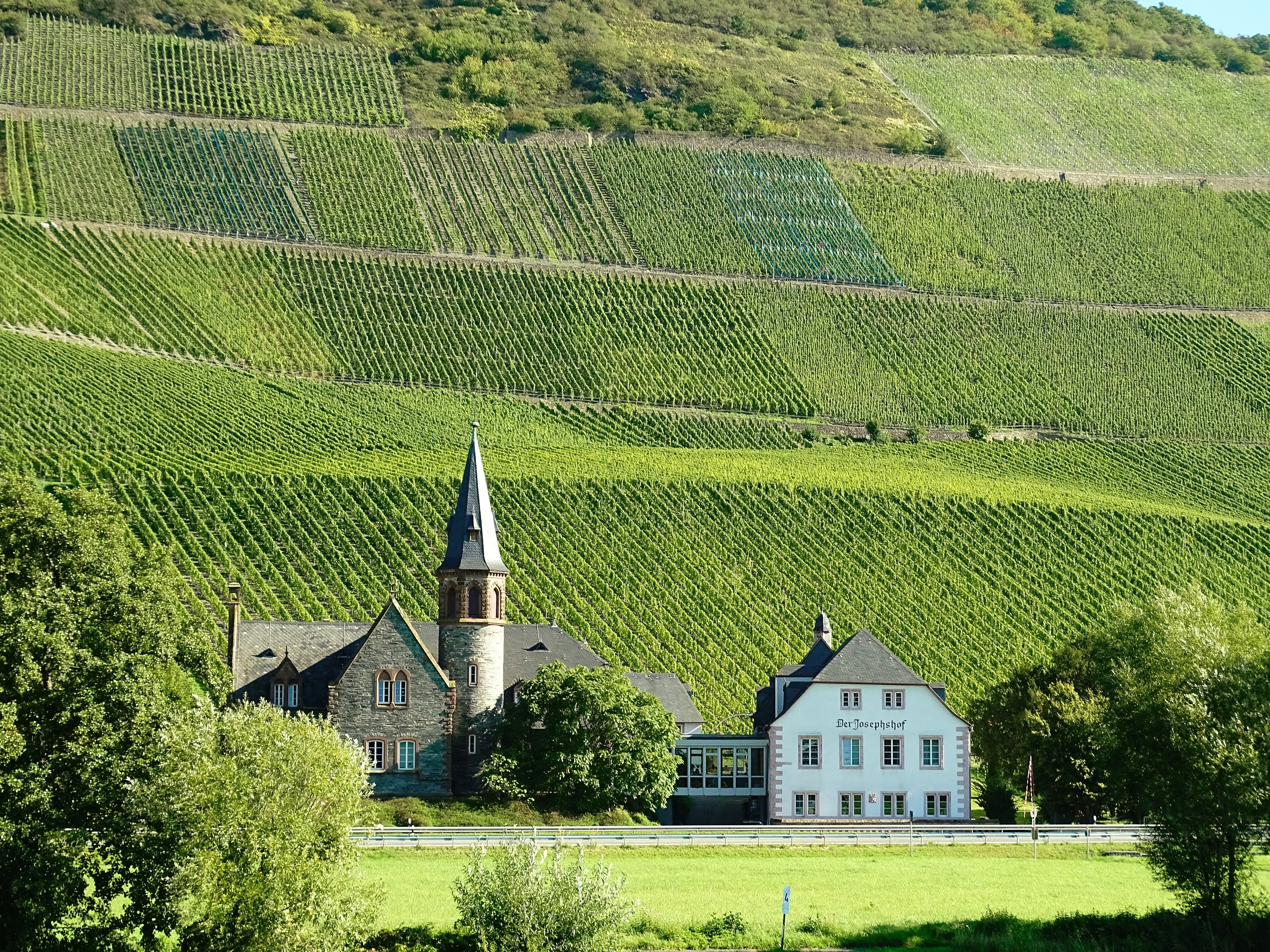 grass, building exterior, green, green color, growth, building, wine, field, landscape, no people, house, mosel, plant, 5K, tree, religion, sachsen, place of worship, HD Wallpaper