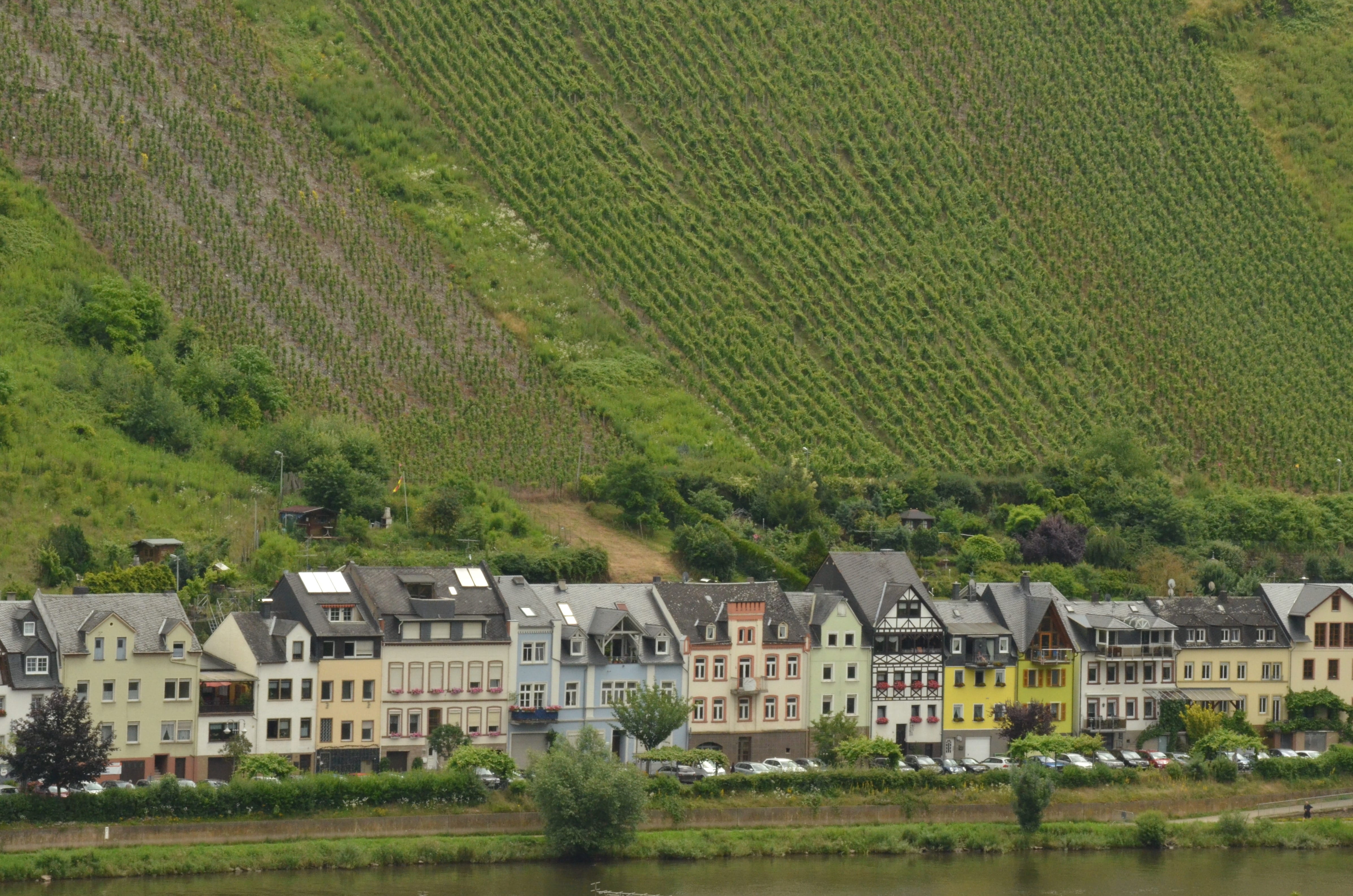 outdoors, house, zell-am-mosel, village, moselle, nature, plant, no people, field, land, high angle view, green color, europe, river, residential district, HD Wallpaper