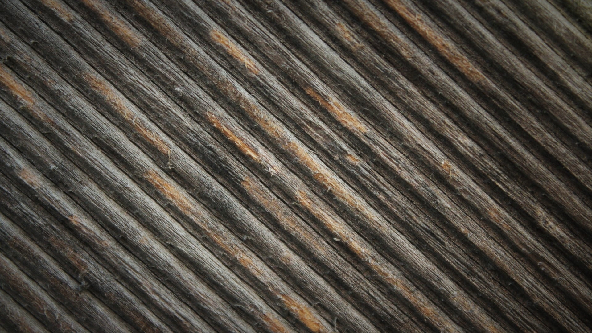 construction material, close-up, wooden wall, full frame, brown, 1080P, no people, day, forest, abstract, tree, high angle view, old, textured, backgrounds, HD Wallpaper