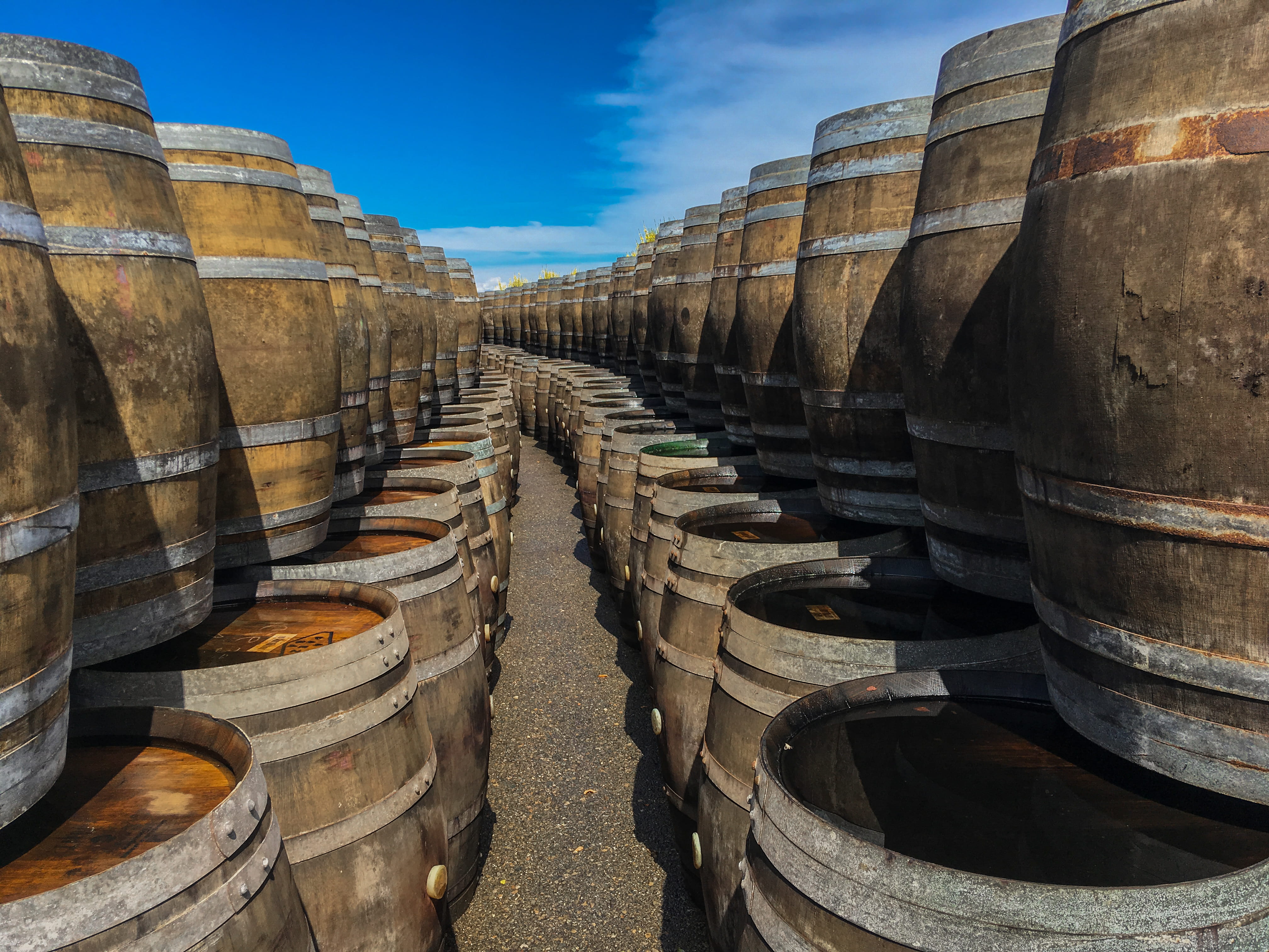 spain, viticulture, food and drink, architecture, direction, cylinder, the way forward, wood, 4K, repetition, perspective, winery, harvest, wood - material, HD Wallpaper