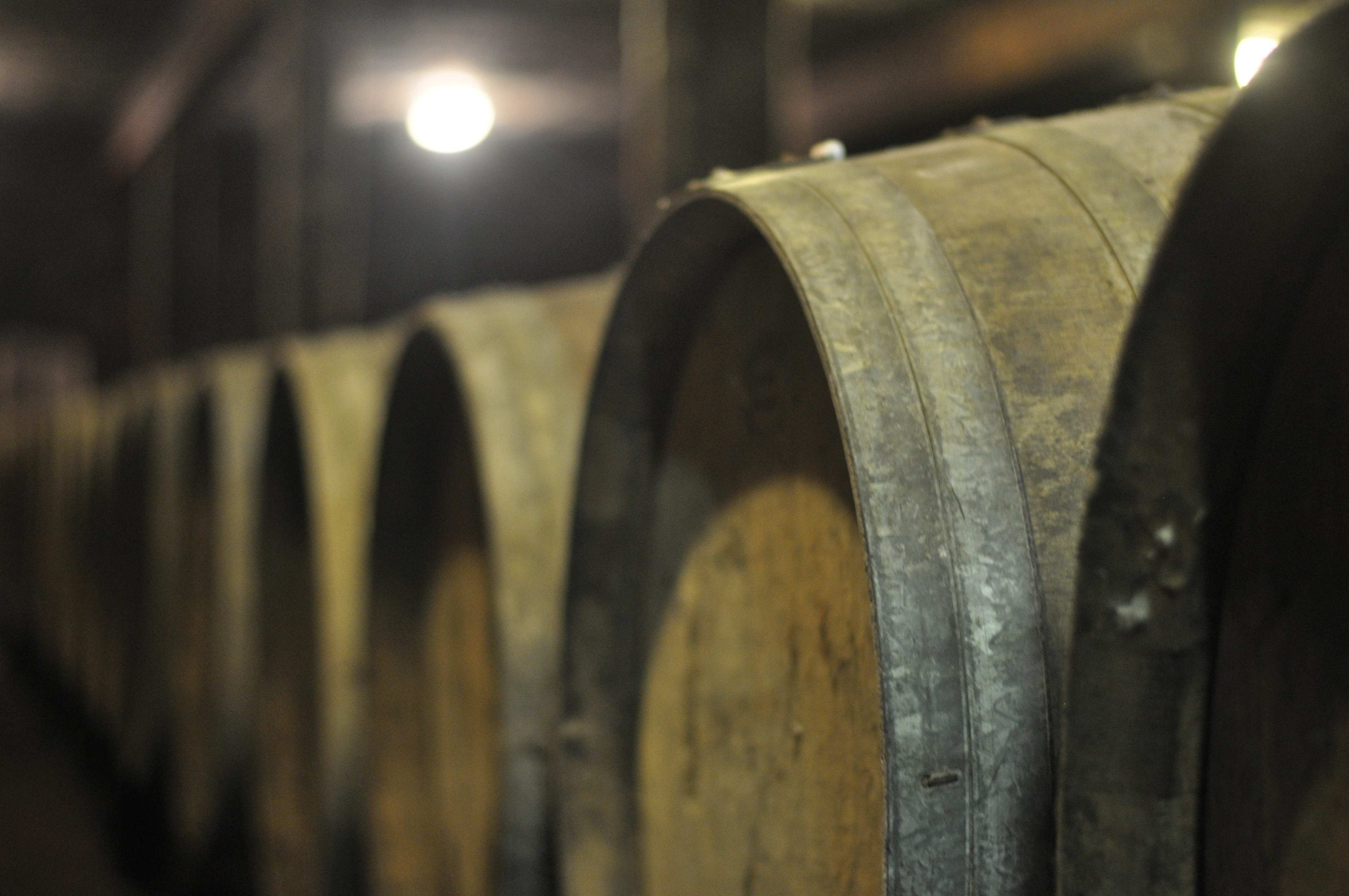 warehouse, food and drink, vineyard, winemaking, wine, wine cask, barrel, food and drink industry, alcohol, beverages, drink, refreshment, 4K, cave, barrels, HD Wallpaper