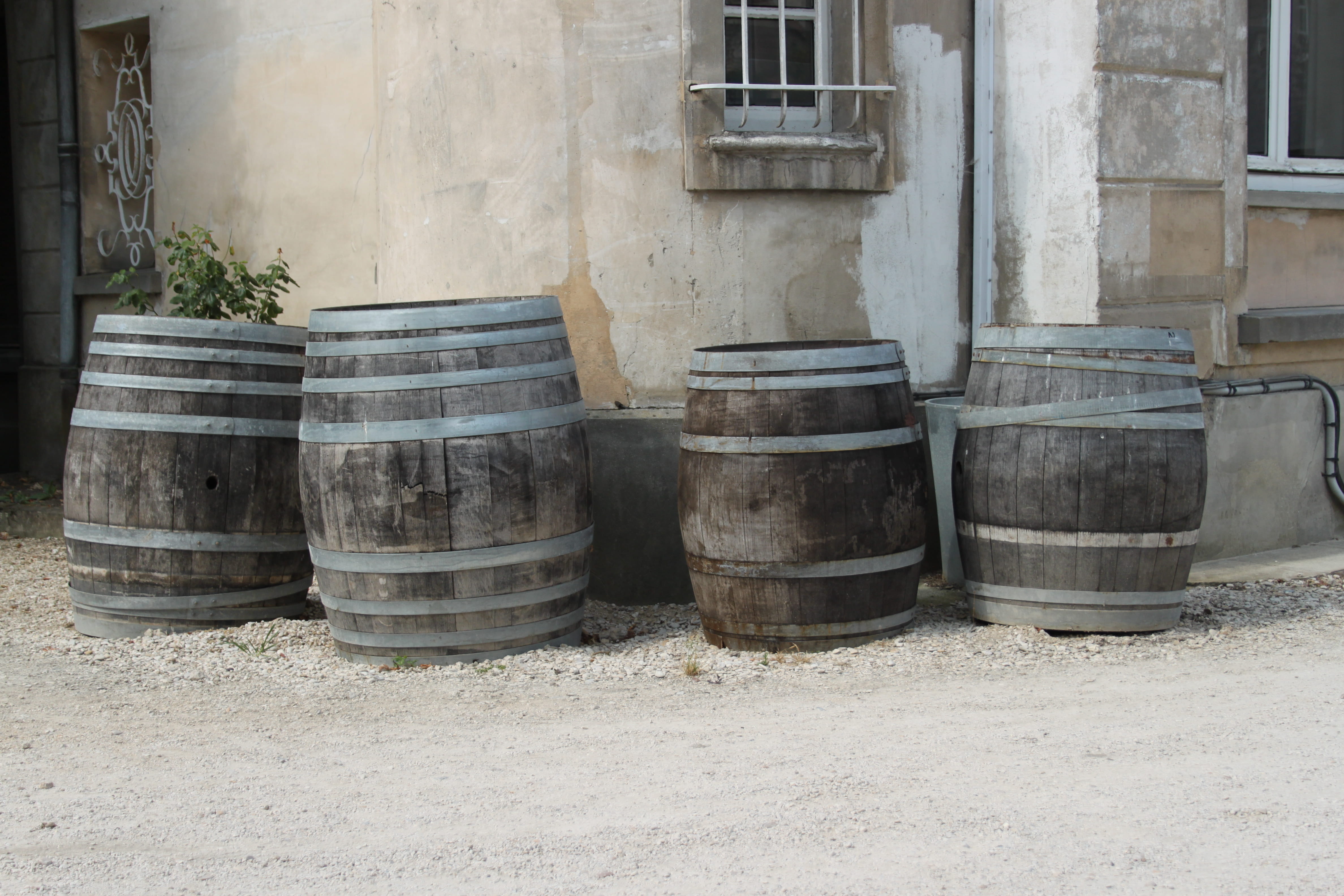 no people, container, frankrijk, cylinder, reims, city, architecture, winery, winemaking, wine cask, wood - material, nature, wall - building feature, building exterior, HD Wallpaper