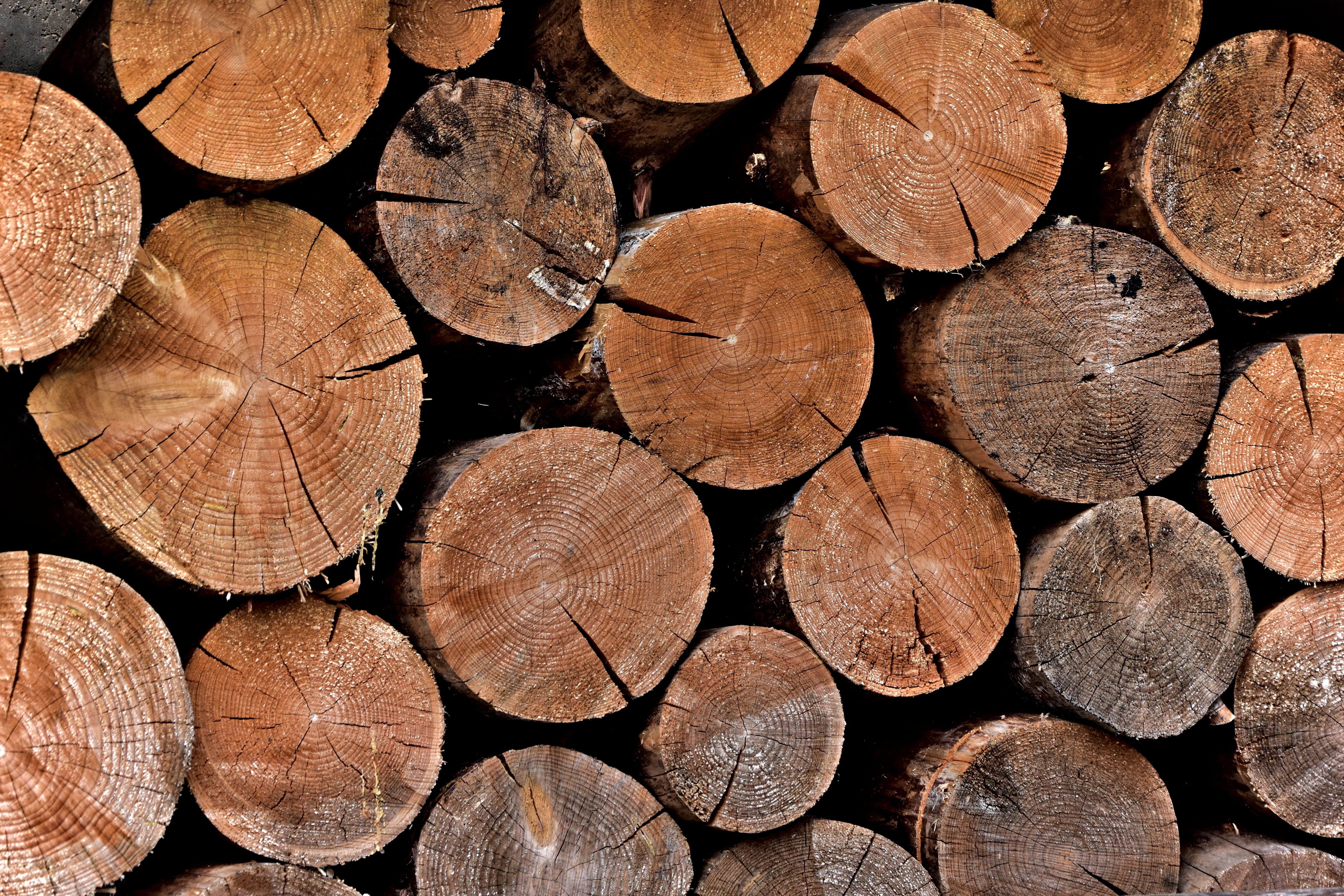 structure, log, cracked, large group of objects, texture, lumber industry, shape, outdoors, pile, firewood, heap, no people, full frame, wood grain, fuel and power generation, HD Wallpaper
