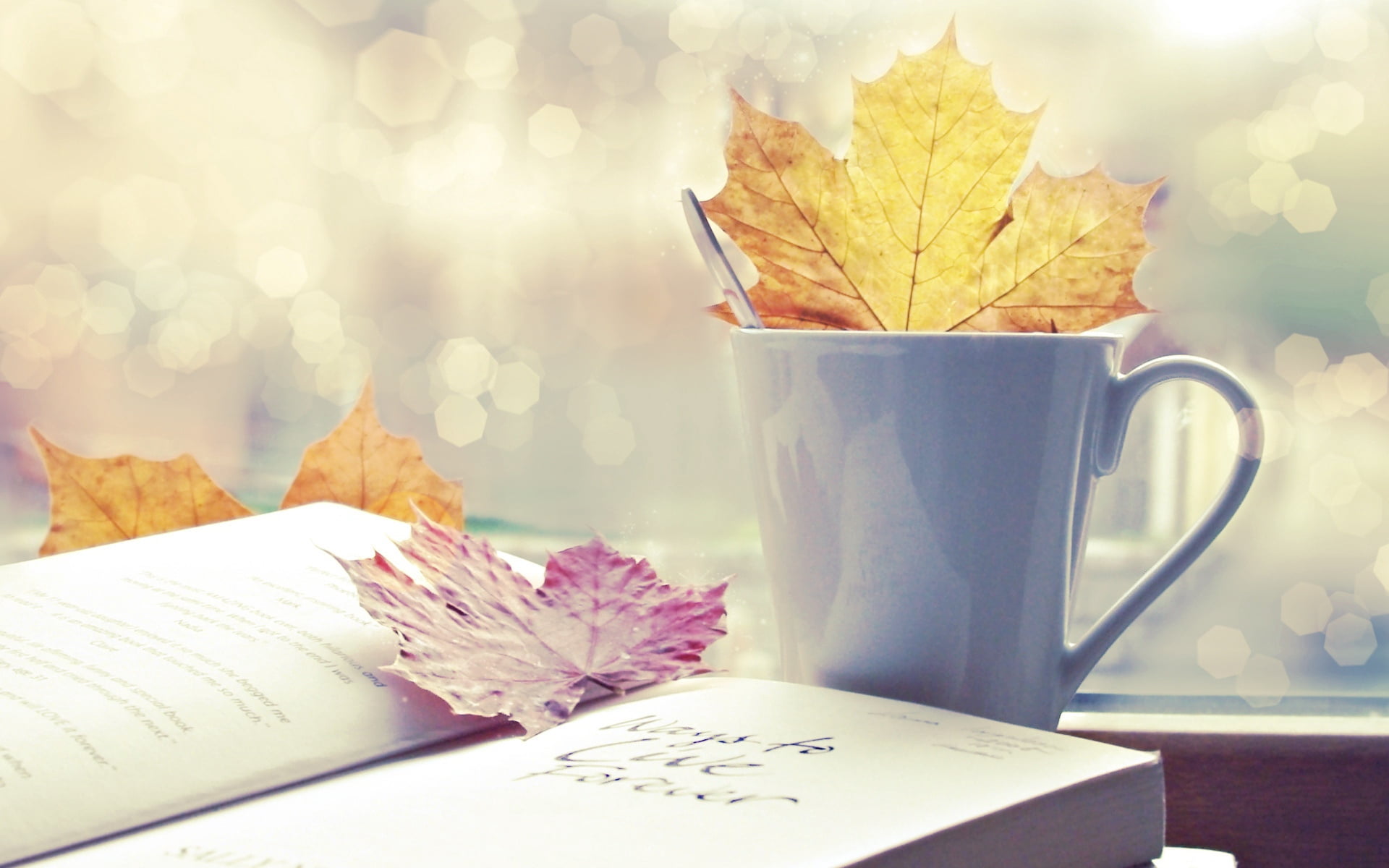 food and drink, table, season, text, old-fashioned, heat - Temperature, plant, celebration, mug, handwriting, message, leaves, red, holiday, coffee Cup, HD Wallpaper
