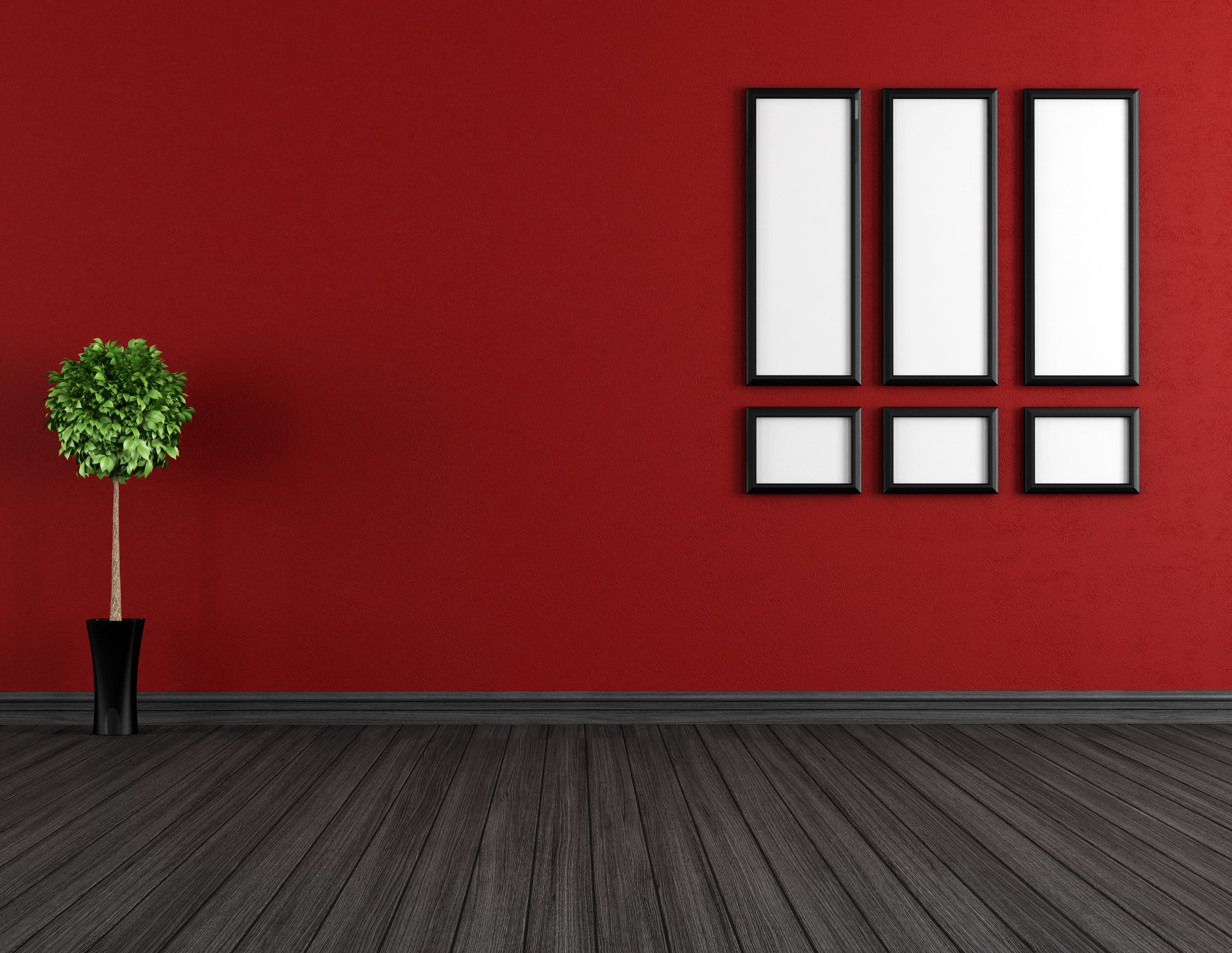 business, architecture, empty, wall - building feature, wall, 4K, copy space, wood laminate flooring, white boxes with black frame, plant, stage, indoors, HD Wallpaper