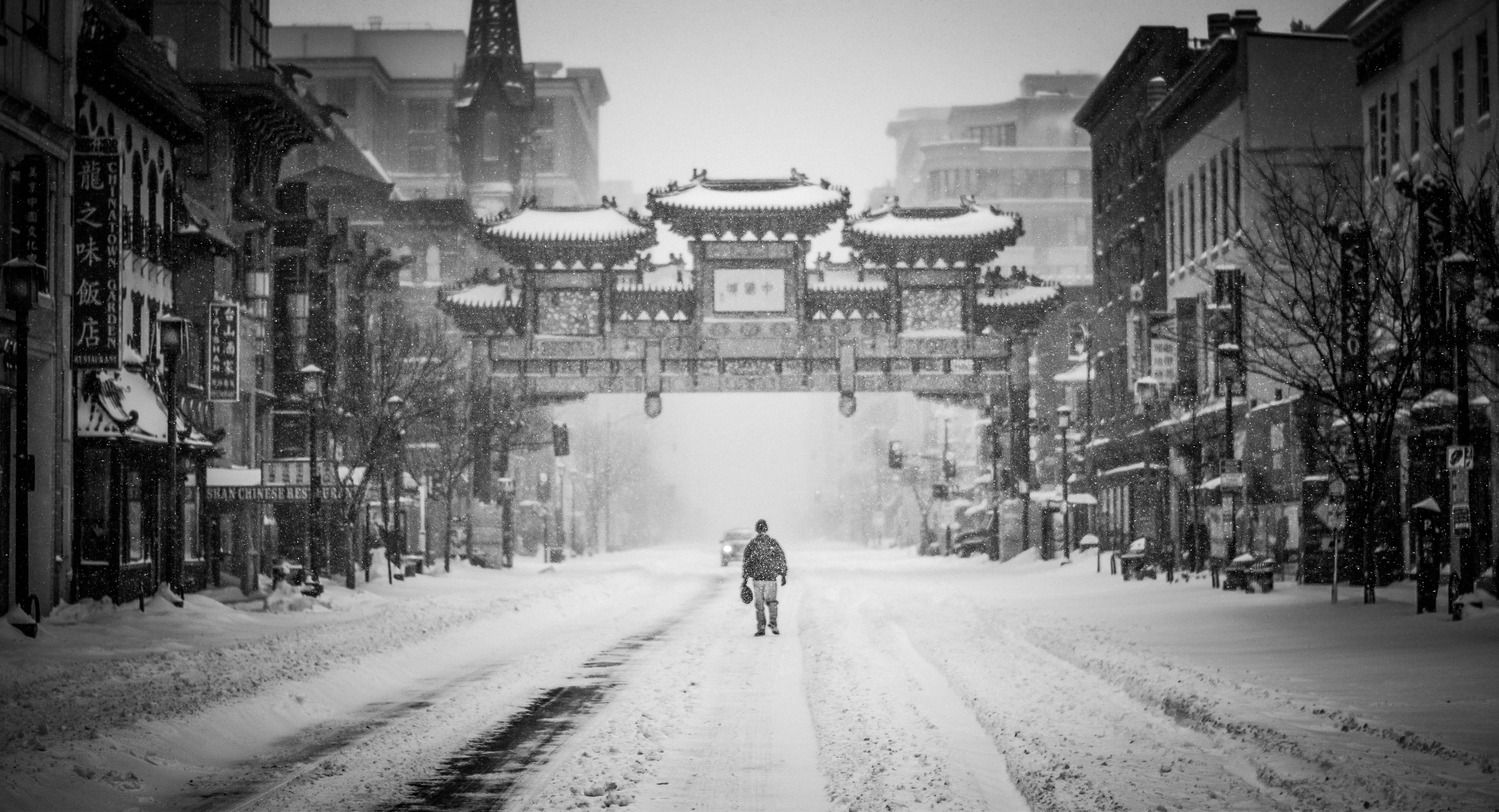 grayscale, the way forward, riding, tree, built structure, walking, man, cold temperature, outdoors, building exterior, cold, architecture, snow, pagoda, HD Wallpaper