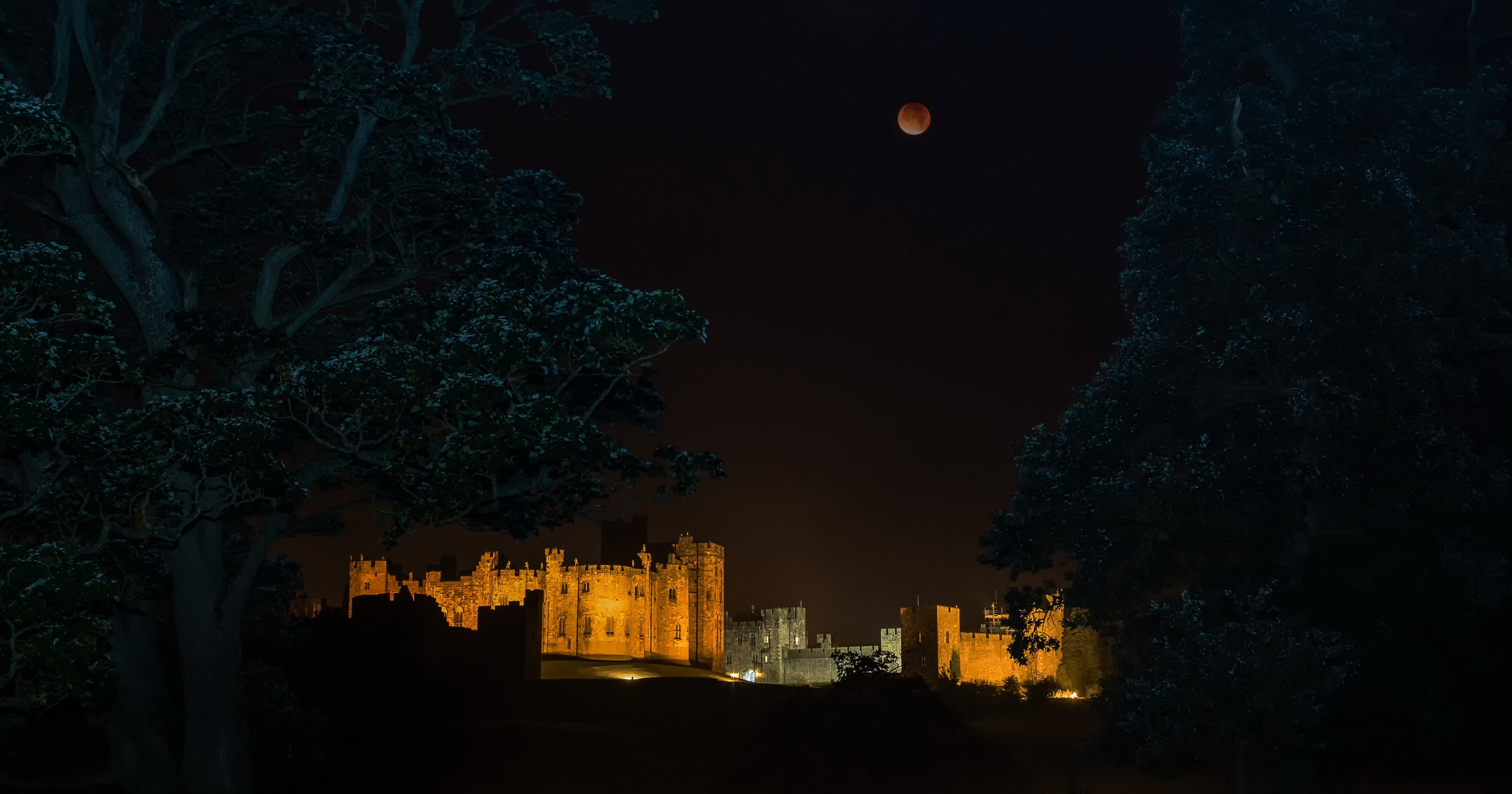 religion, abbey, tree, full moon, the past, no people, building, building exterior, moonlight, history, castle, built structure, nature, night, outdoors, HD Wallpaper