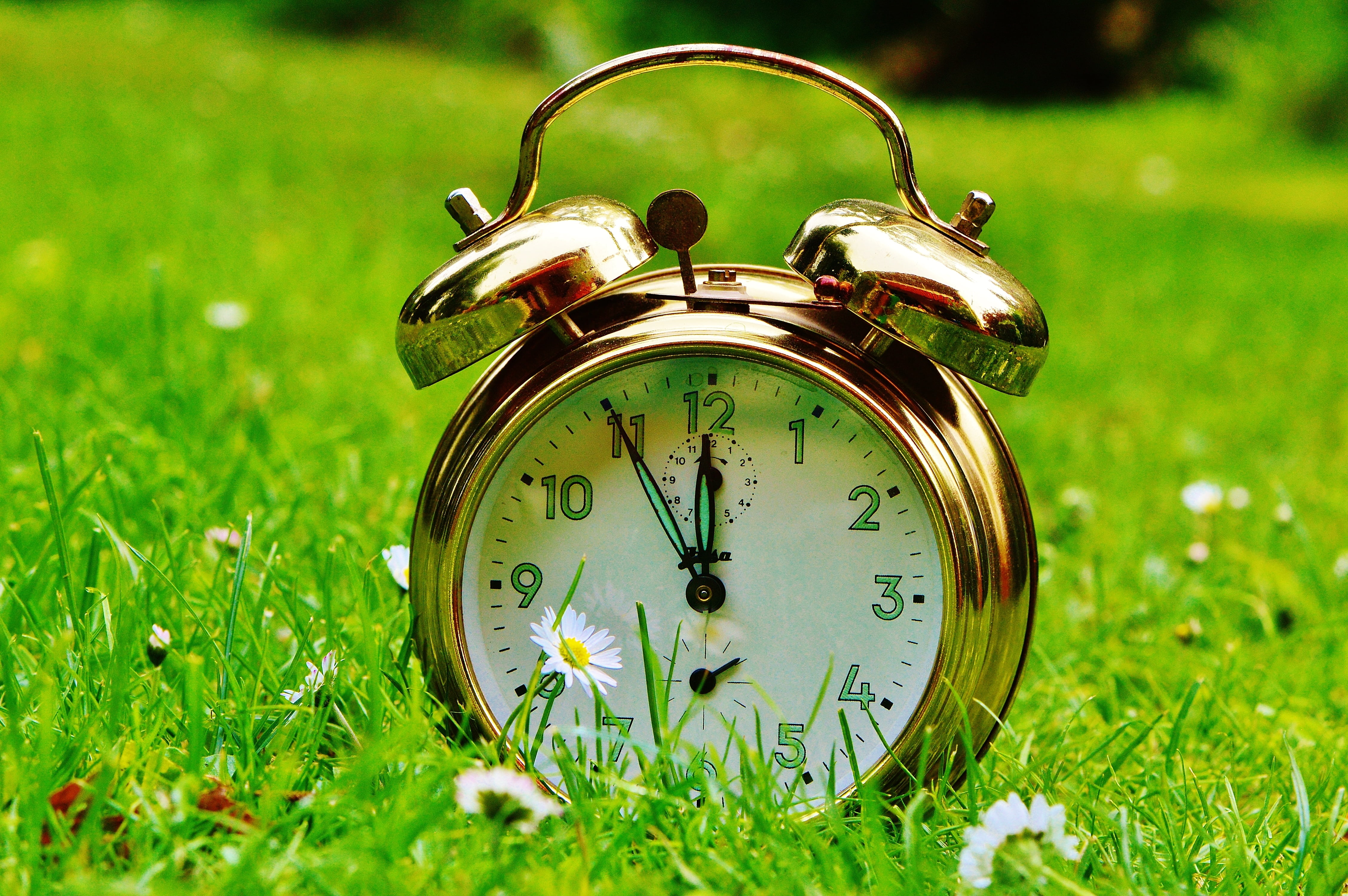 clock, round, time of, colored, the eleventh hour, land, alarm Clock, gold, metal, flowers, accuracy, green, nature, antique, time, ring the bell, close-up, HD Wallpaper