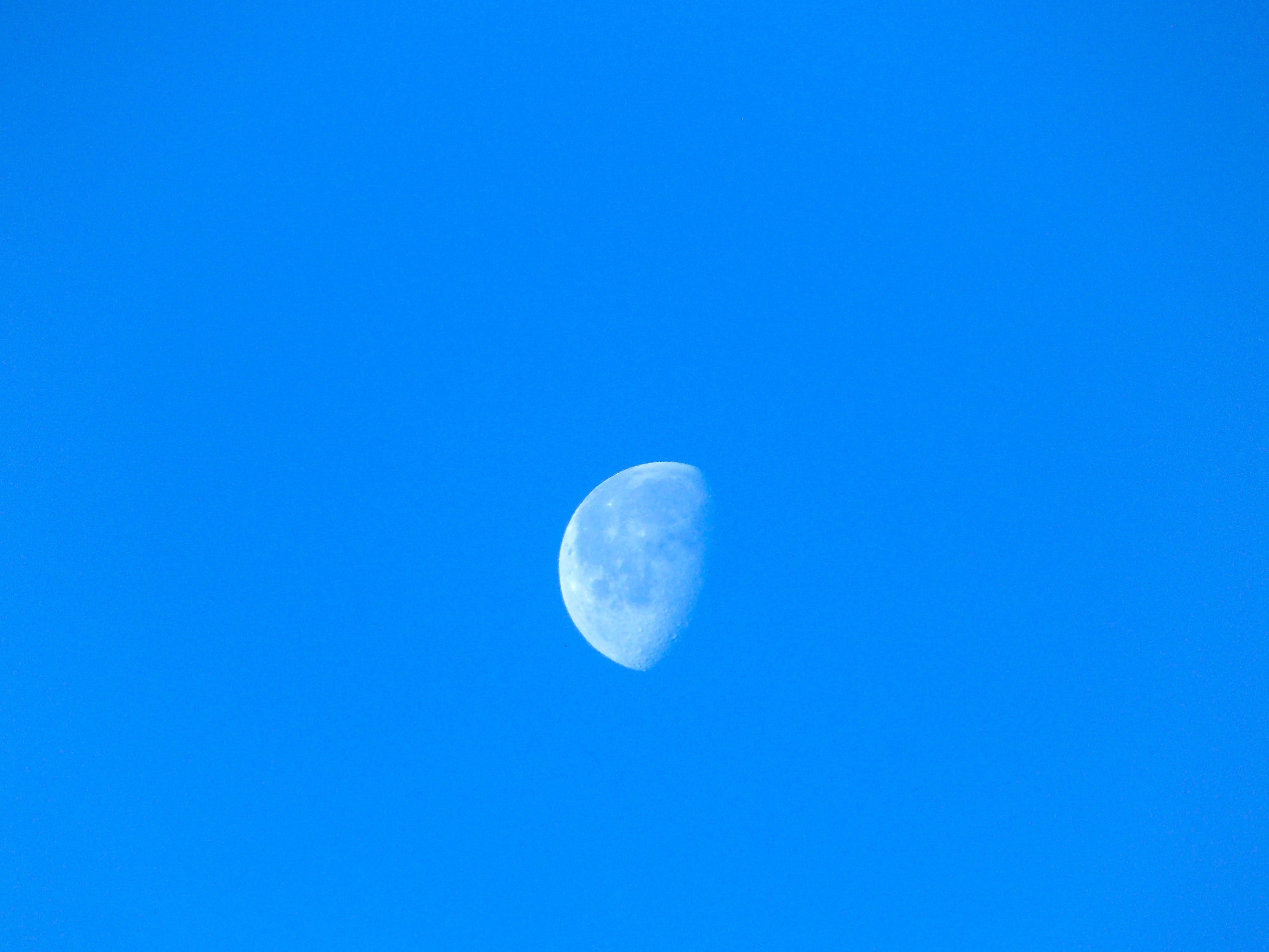 tranquil scene, copy space, weather, space and astronomy, dusk, color, dom, day, low angle view, half moon, astronomy, blue, landscape, tranquility, climate, HD Wallpaper