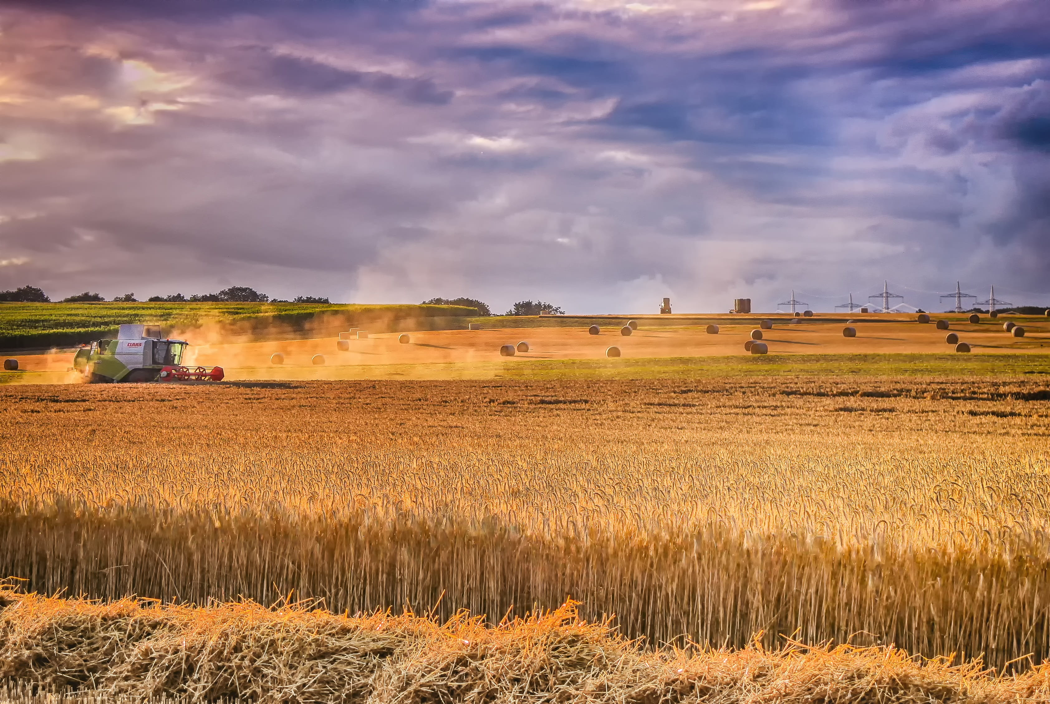 wheat, rural scene, scenics - nature, day, beauty in nature, field, sky, tranquility, 2K, cornfield, cloud - sky, summer, no people, clouds, grain, outdoors, HD Wallpaper