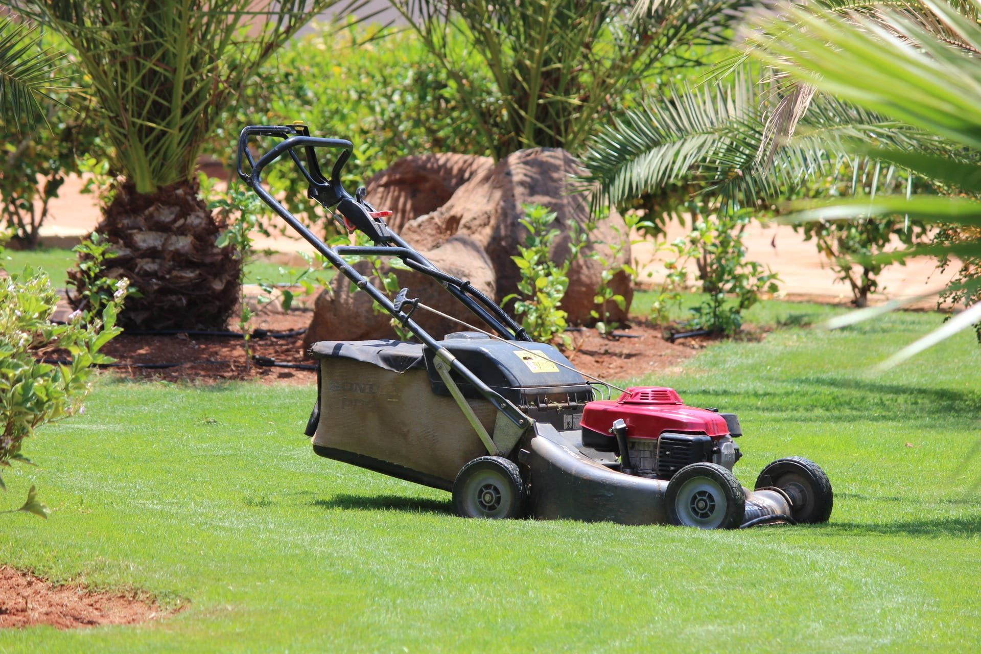 growth, gardening equipment, gardening, no people, mode of transportation, transportation, green, push, land vehicle, sunlight, cape verde, gray, grass, HD Wallpaper