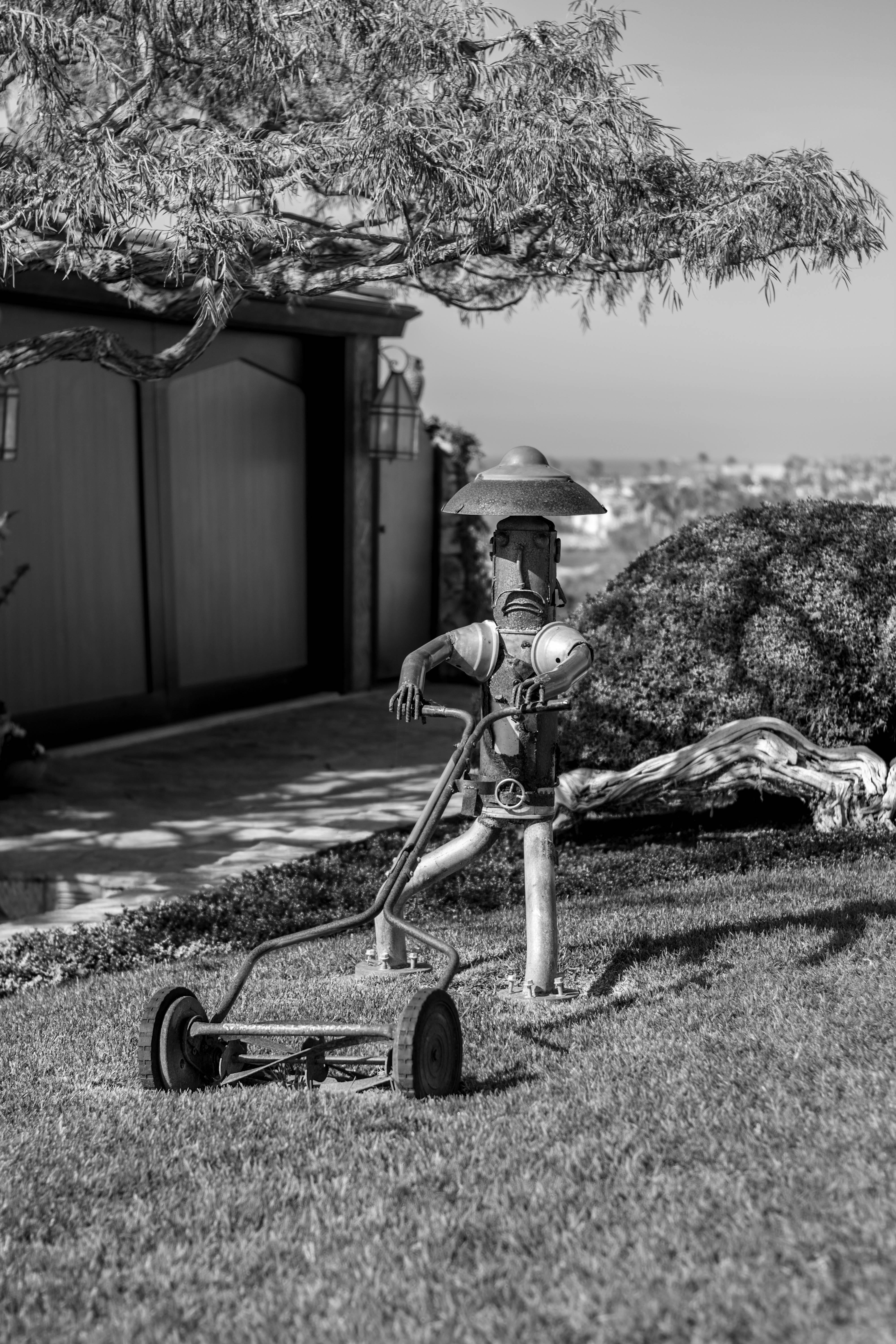 lawn, reel, photography, land vehicle, field, holding, childhood, toy, tree, day, black and white, house, transportation, plant, robot, lawnmower, 5K, Phone HD Wallpaper