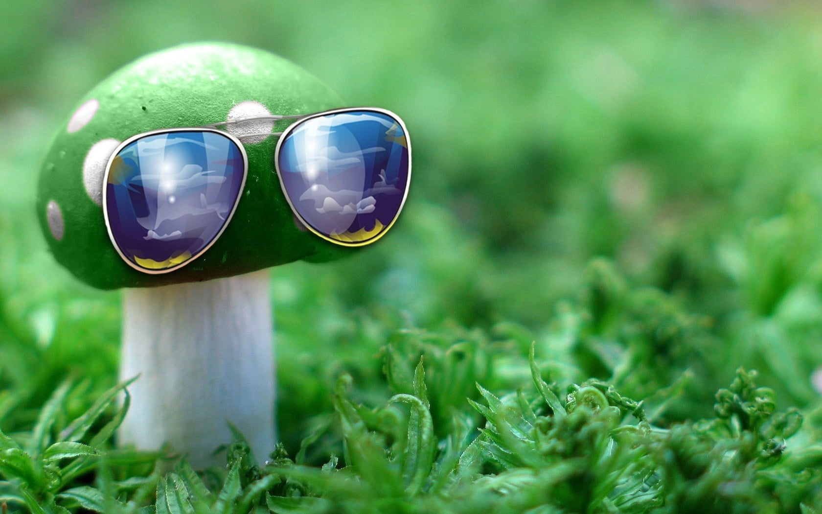 green, mushroom, forest, focus on foreground, grass, glasses, close-up, no people, outdoors, protection, sunglasses, season, eyeglasses, white, day, growth, HD Wallpaper