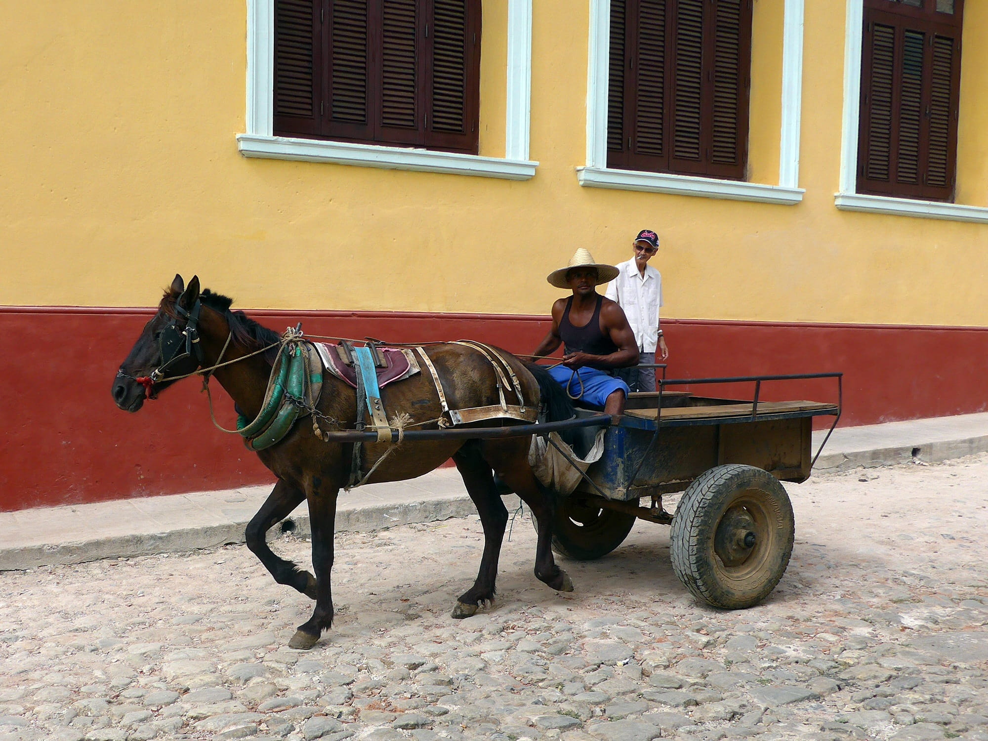red, mode of transportation, color, building, domestic animals, vertebrate, Trinidad, horsedrawn, one man only, colorful, City, pets, animal wildlife, working animal, HD Wallpaper