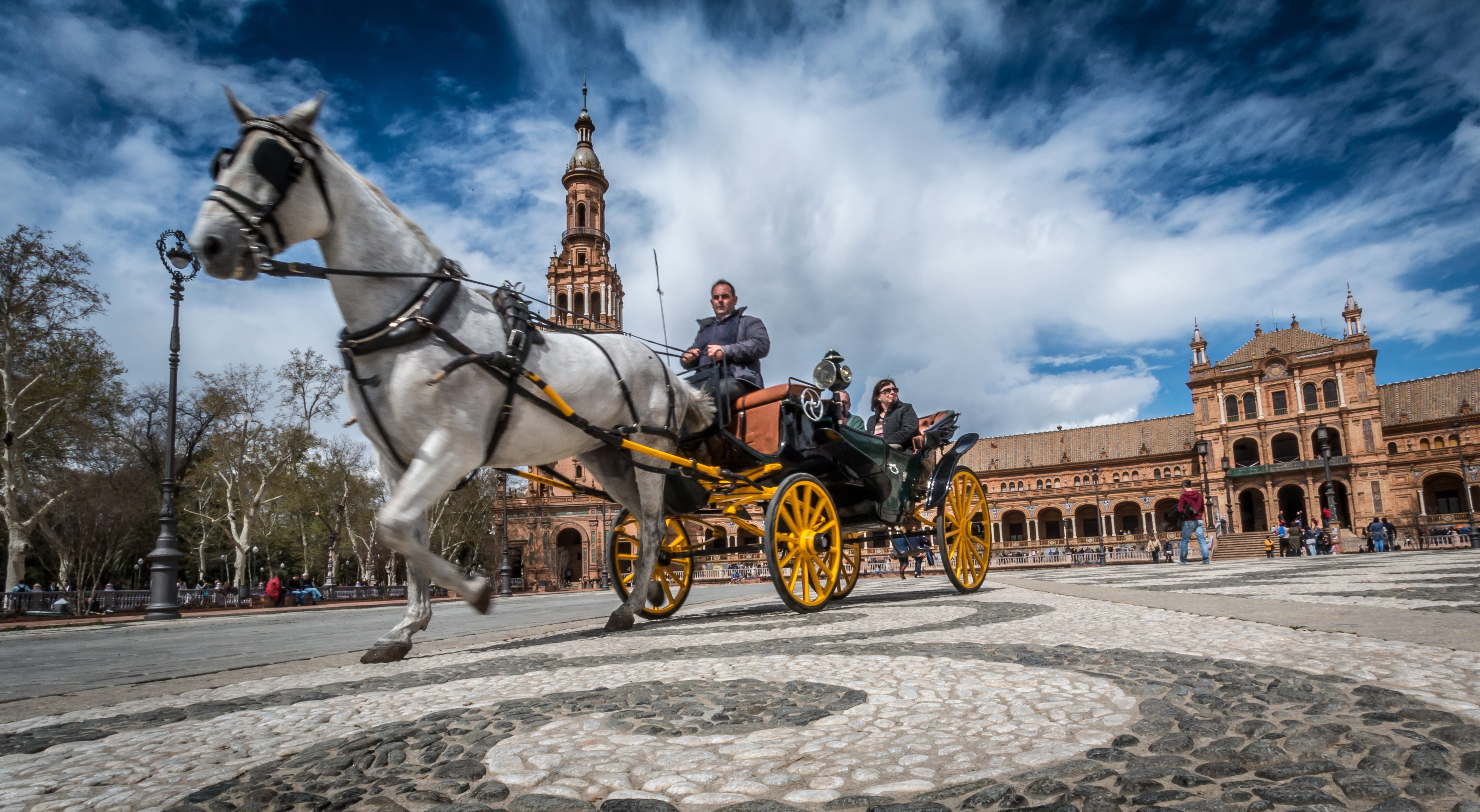 urban, photography, near, building exterior, people, building, cavalry, pull, travel destinations, animal wildlife, square, sky, low, outdoors, animal themes, HD Wallpaper