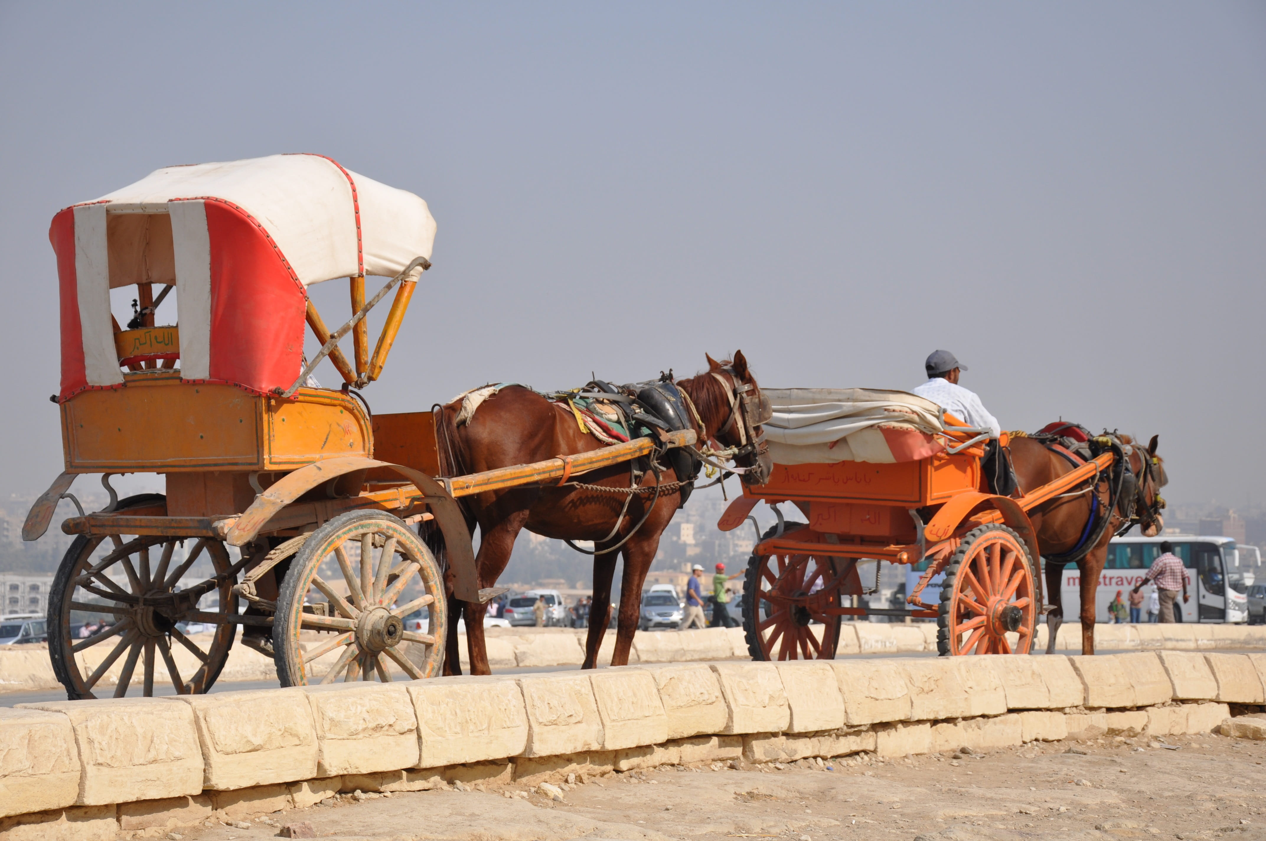 herbivorous, transport, tourism, group of animals, saddle, history, travel, cart, cairo, pets, desert, sand, hieroglyphs, animal wildlife, two animals, HD Wallpaper