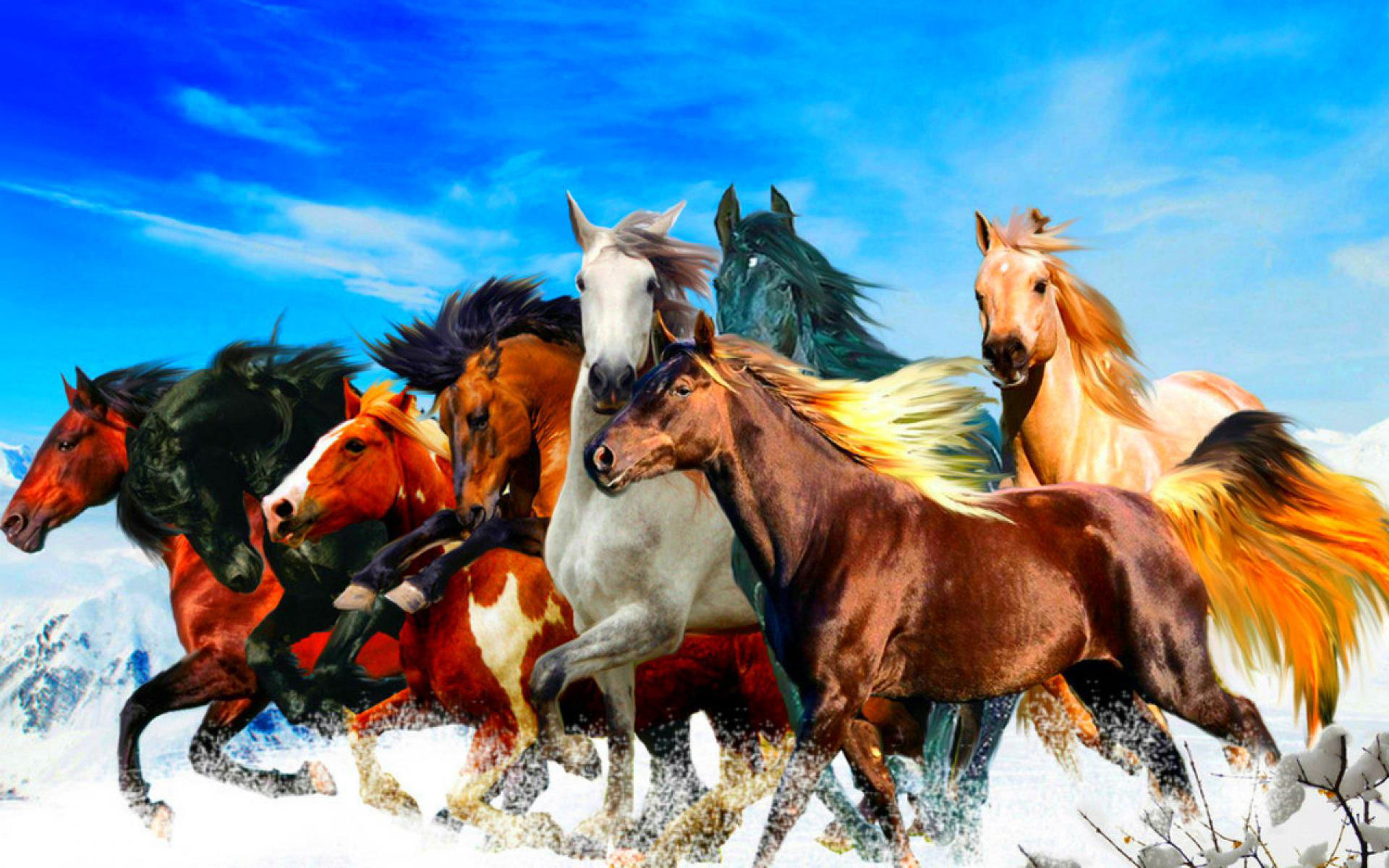 outdoors, vertebrate, pets, togetherness, colors, animal, different, horses, beautiful, mammal, field, hd, domestic animals, blue, sky, herbivorous, HD Wallpaper