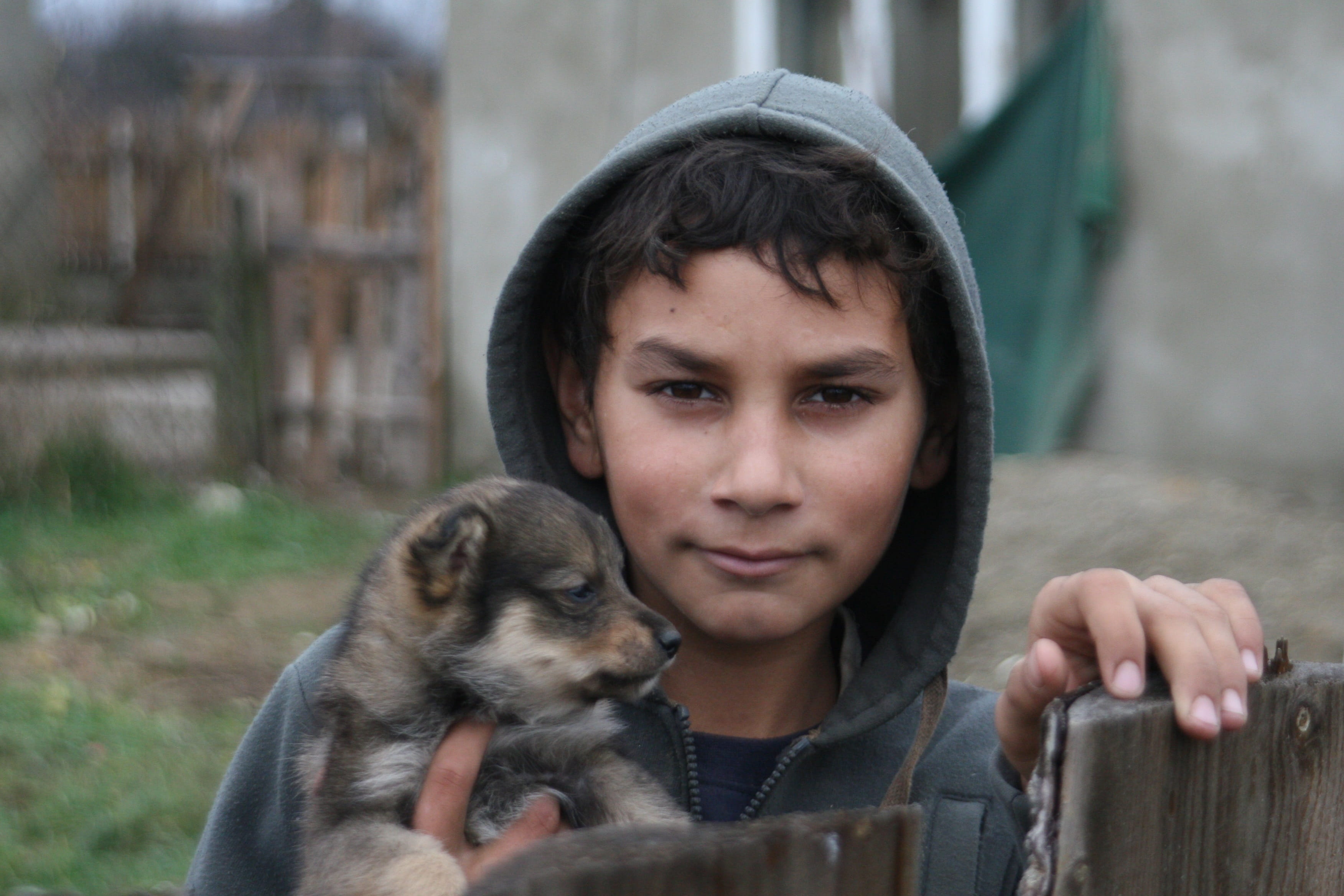 teenager, focus on foreground, headshot, casual clothing, Children, one person, emotion, domestic, outdoors, canine, one animal, 2K, dog, front view, Transcarpathia, HD Wallpaper
