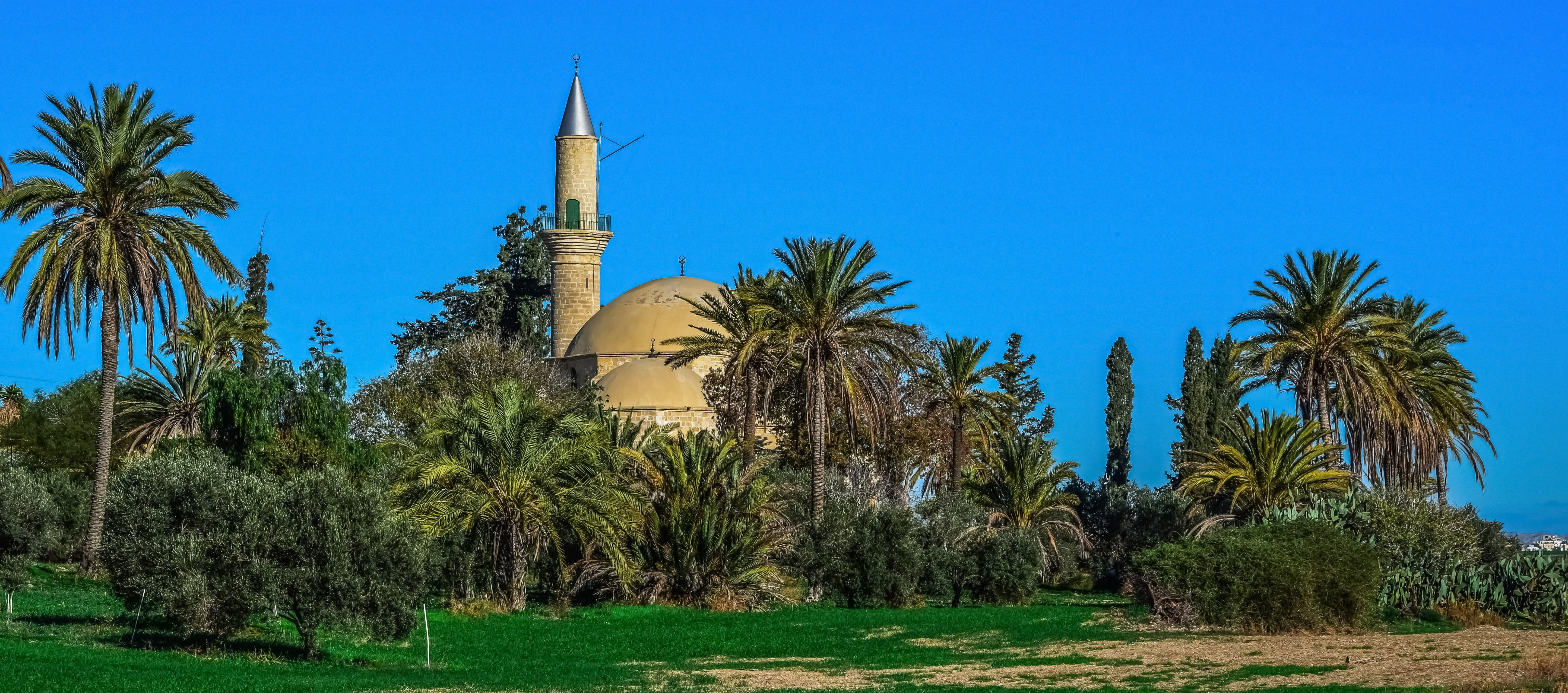 religion, palm tree, built structure, castle, tropical climate, surrounded, nature, cyprus, mosque, muslim, place of worship, clear sky, spirituality, building exterior, HD Wallpaper
