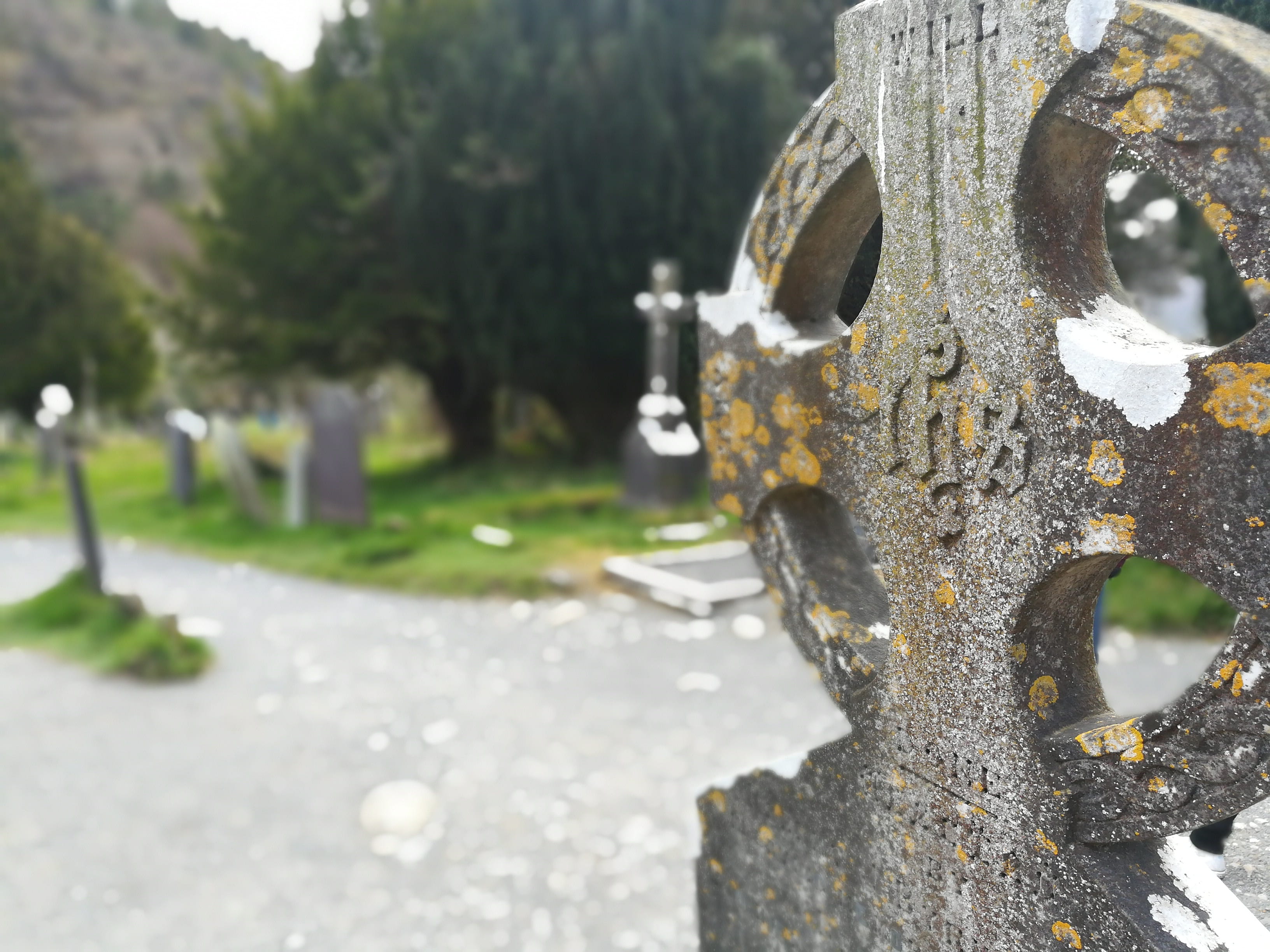 cross, stone, celts, tree, outdoors, grave, day, architecture, selective focus, built structure, no people, celtic cross, in the, monastery, religion, plant, HD Wallpaper