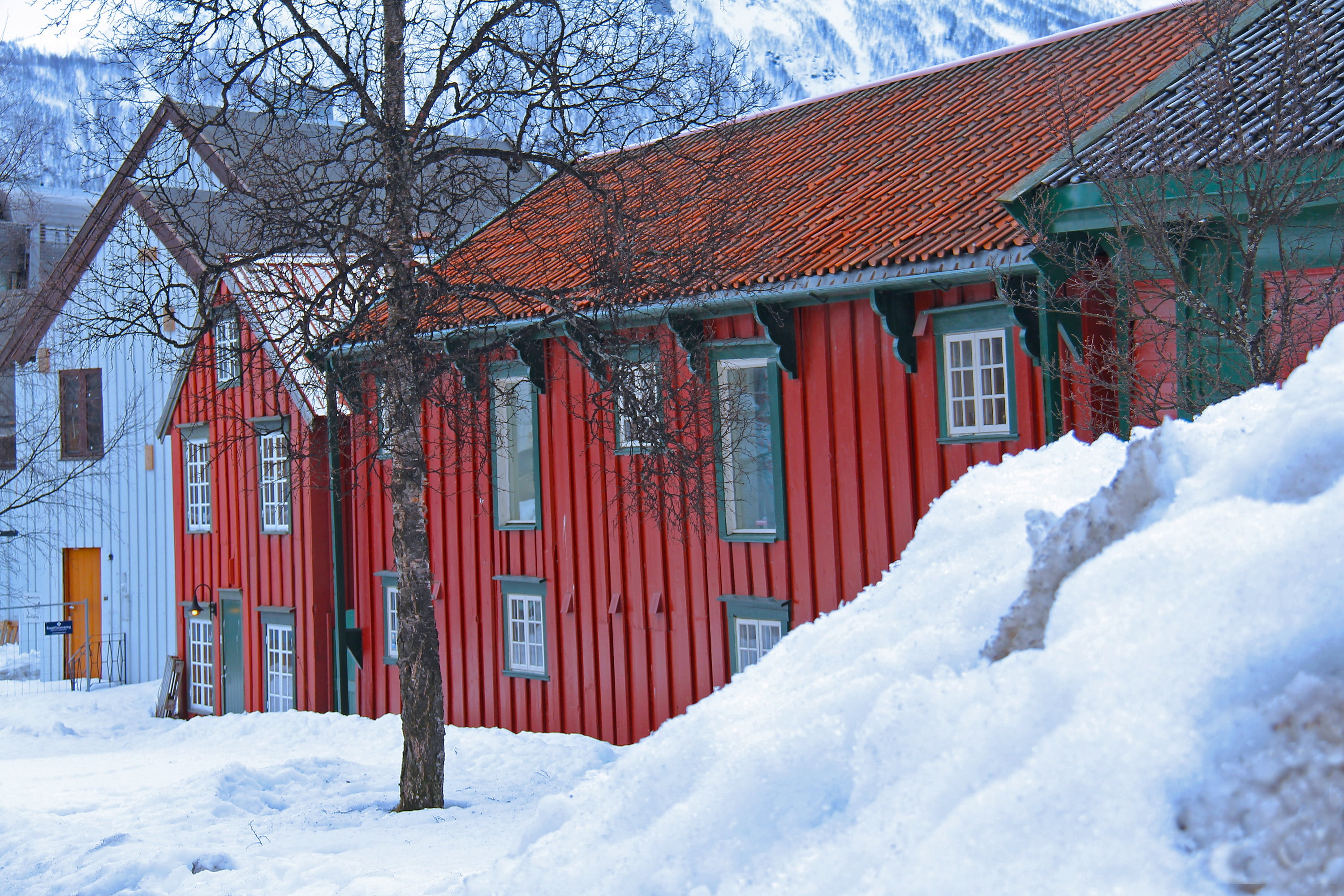 journey, scandinavia, no people, norway, arctic, travel, the arctic circle, scenic, tromso, cottage, tree, residential district, nature, cold temperature, HD Wallpaper