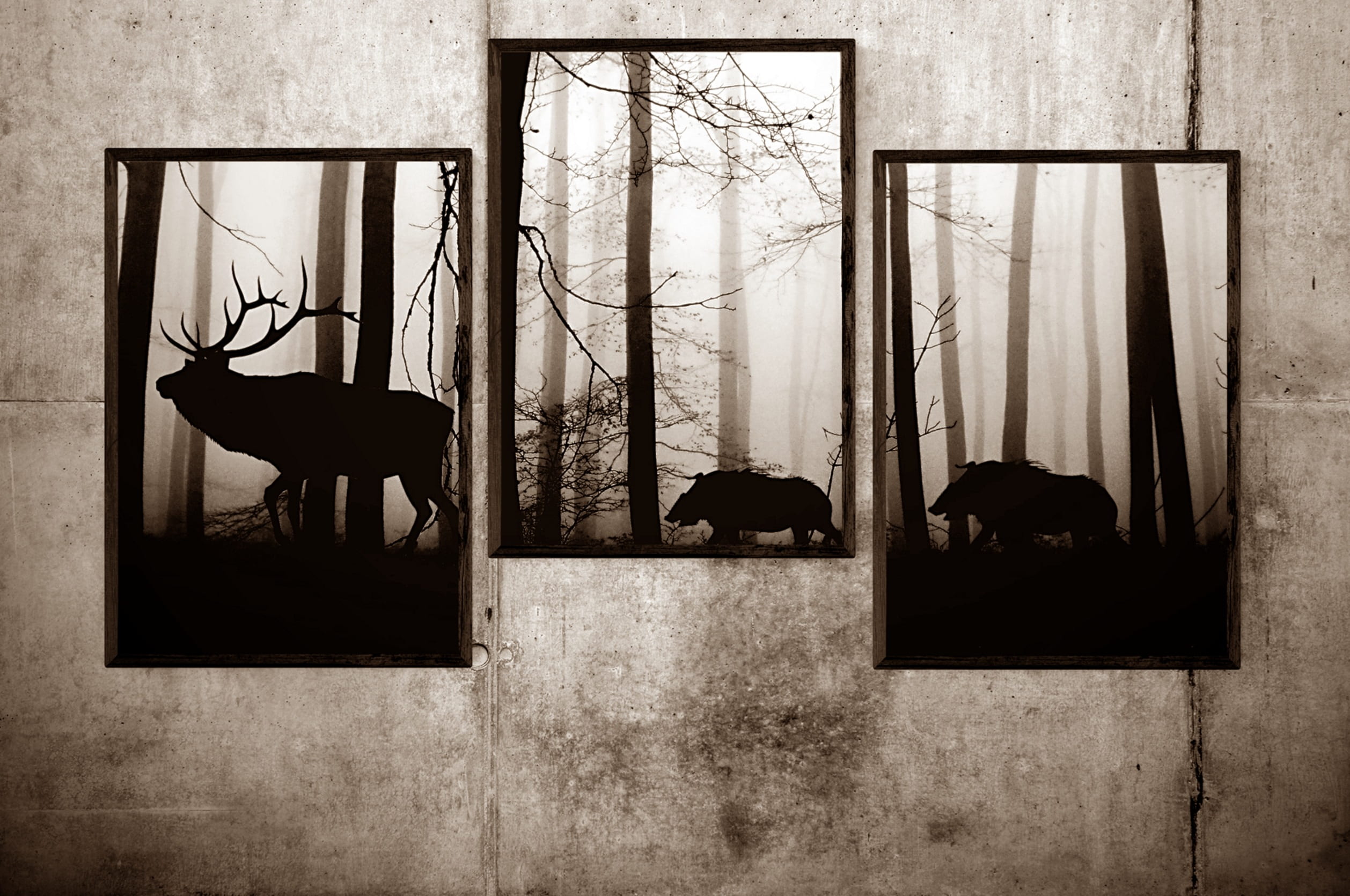 indoors, picture frame, 1080P, image, domestic animals, day, wild, silhouette, nature, pets, animal, built structure, photos, assorted, mammal, vertebrate, HD Wallpaper