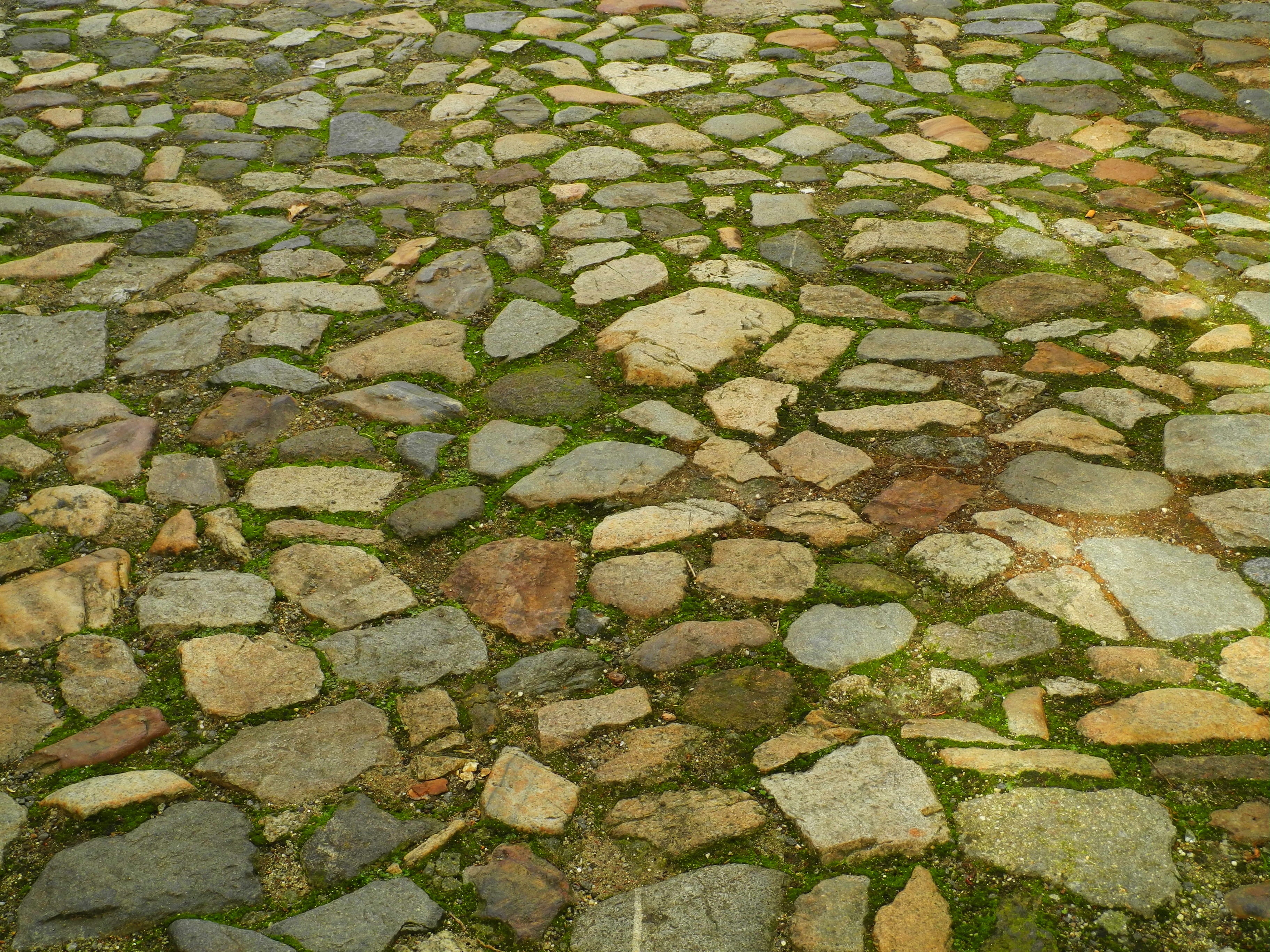 solid, 2K, design, moss, czech republic, green color, paving stone, Paving, day, trail, south bohemia, high angle view, footpath, no people, backgrounds, HD Wallpaper