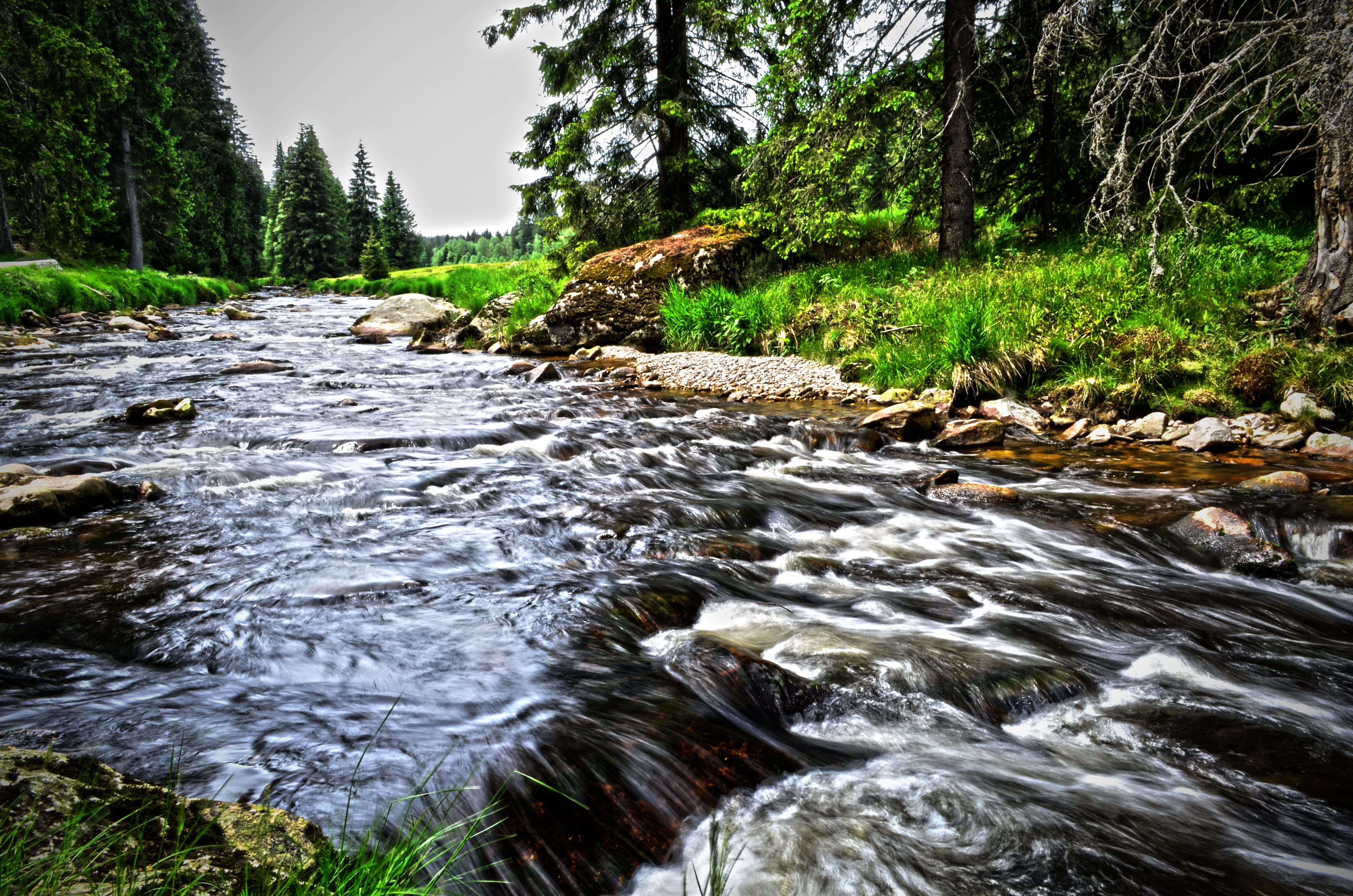 non-urban scene, River, Water, šumava, land, dirty, flowing, south bohemia, Landscape, day, tranquility, tree, stream - flowing water, outdoors, beauty in nature, HD Wallpaper
