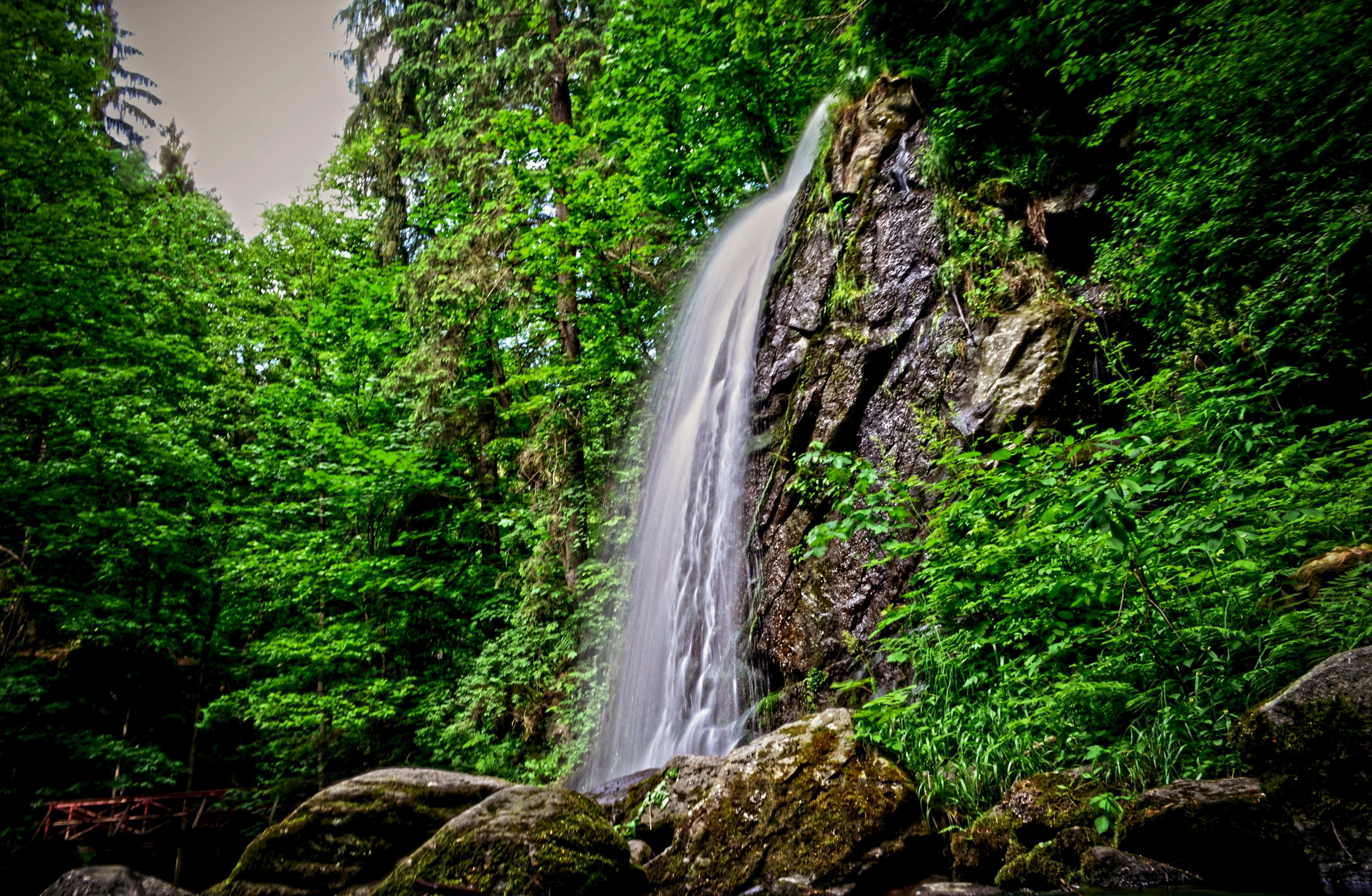 plant, rainforest, trees, flowing Water, flowing, long exposure, outdoors, Waterfall, rock, Water, south bohemia, beauty In Nature, stream, lush foliage, HD Wallpaper