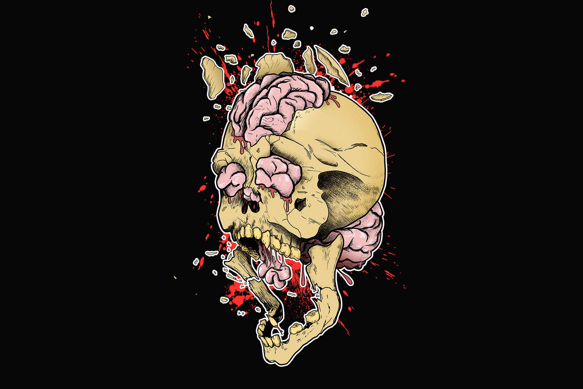 nature, still life, creativity, representation, brain, indoors, no people, floral pattern, death, multi colored, studio shot, pattern, vector, digital composite, HD Wallpaper
