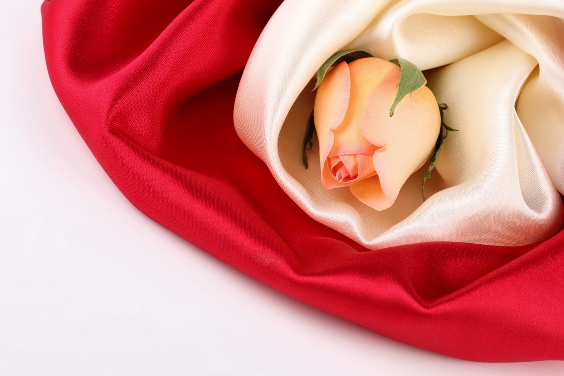 food and drink, flower, indoors, food, white color, rag, silk, fabric, textured, satin, fashion, love, directly above, textile, beige, rose, symbol, softness, HD Wallpaper