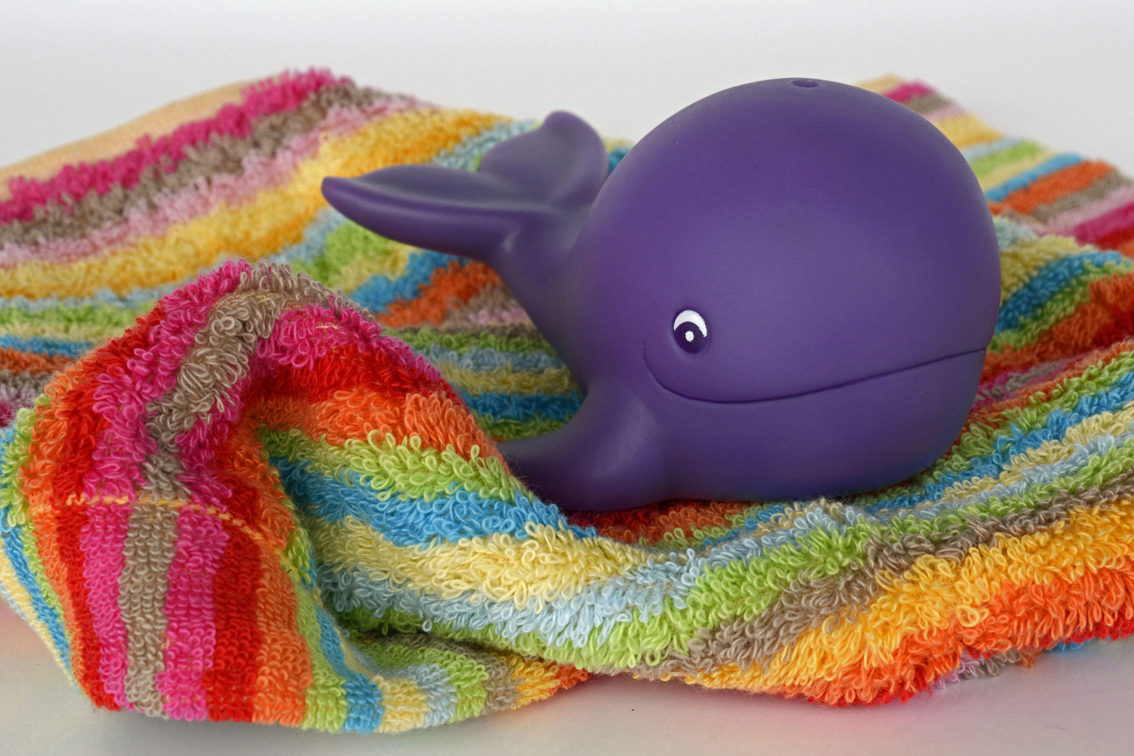 orange color, 4K, representation, clothing, violet, in the water, wool, indoors, child, no people, textile, water, toy, creativity, warm clothing, animal representation, HD Wallpaper