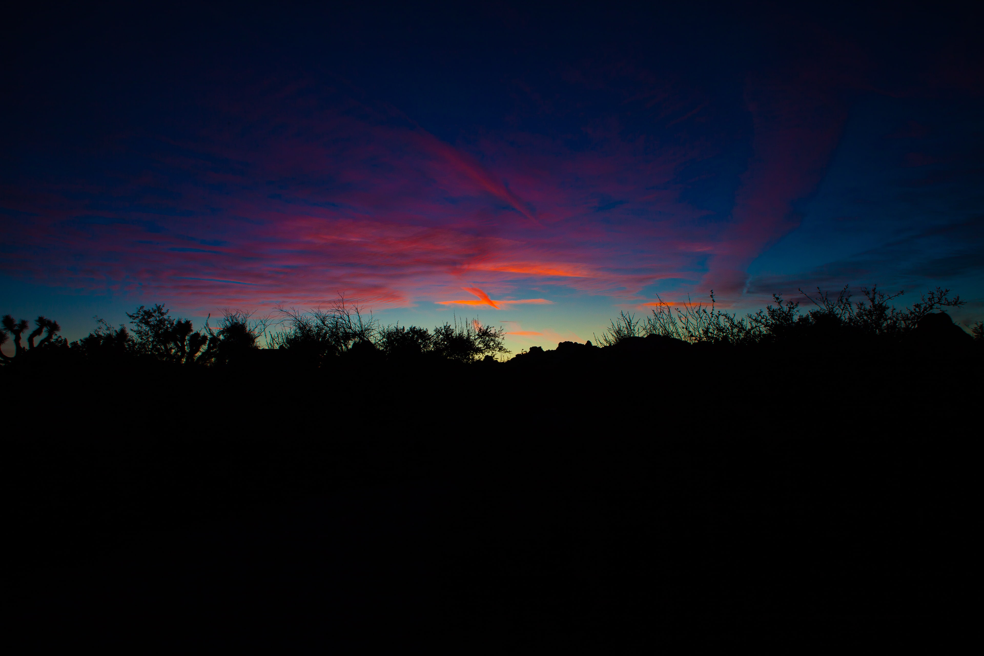 landscape, 4K, Joshua Tree National Park, sunset, evening, HD Wallpaper