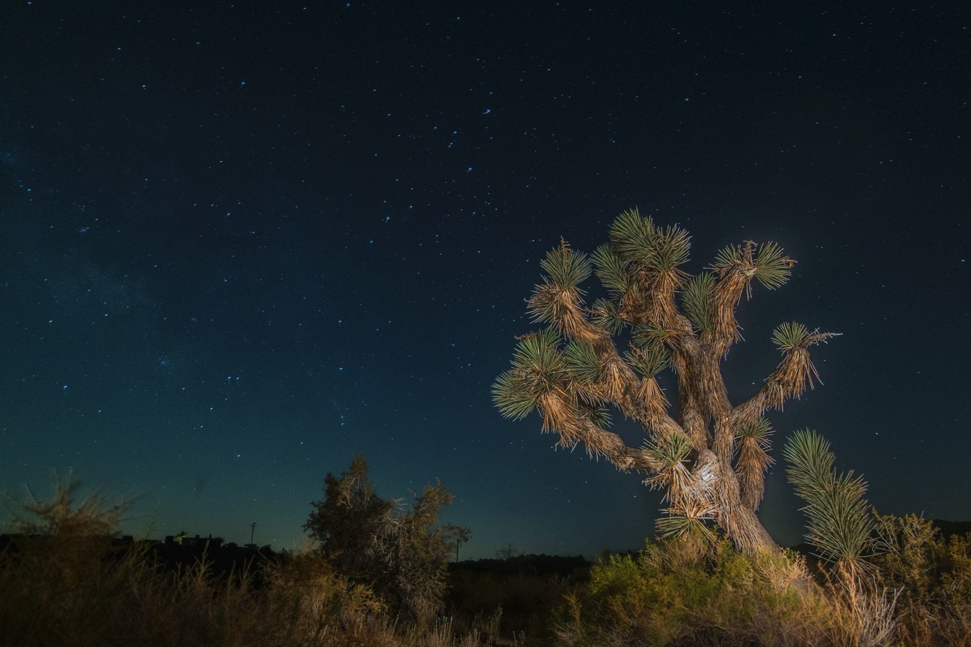 Joshua Tree National Park, 1080P, National Park, HD Wallpaper