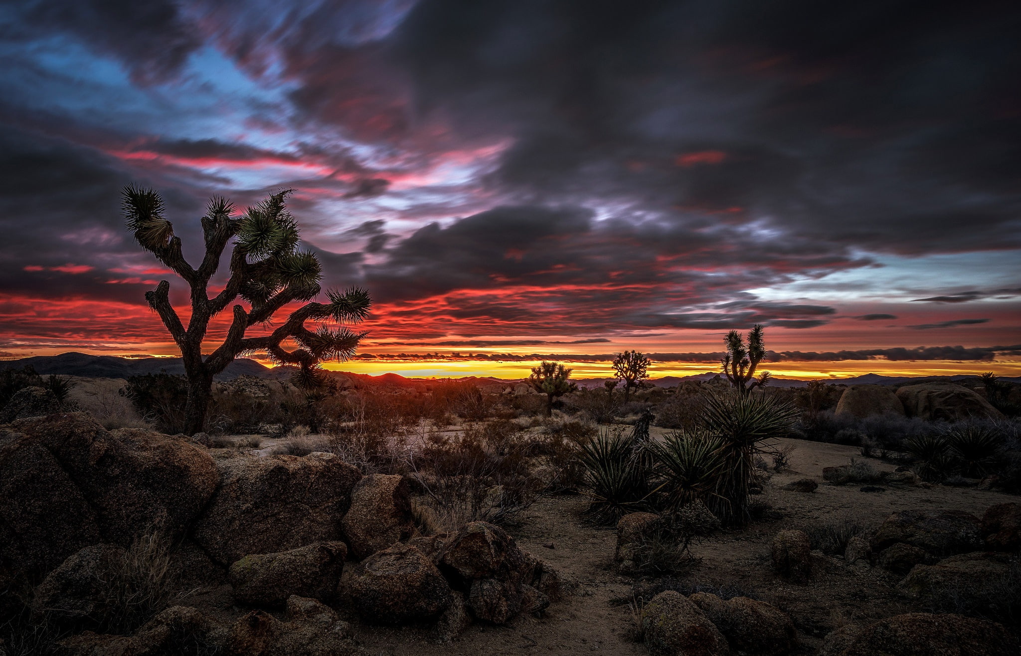 glow, USA, clouds, 1080P, desert, National Park Joshua tree, CA, HD Wallpaper