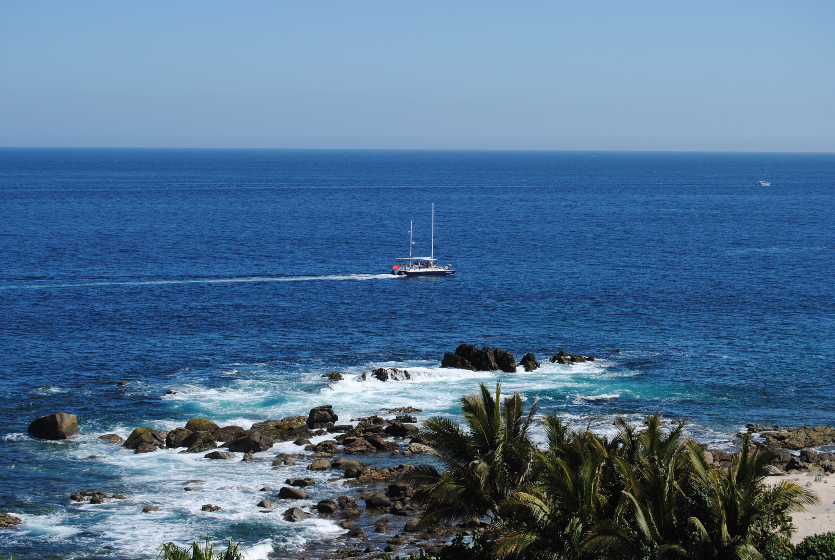 nautical vessel, mode of transportation, white, Sea Of Cortez, 2K, coast, day, Ocean, water, floating, palm trees, blue, sailboat, tranquility, scenics - nature, HD Wallpaper