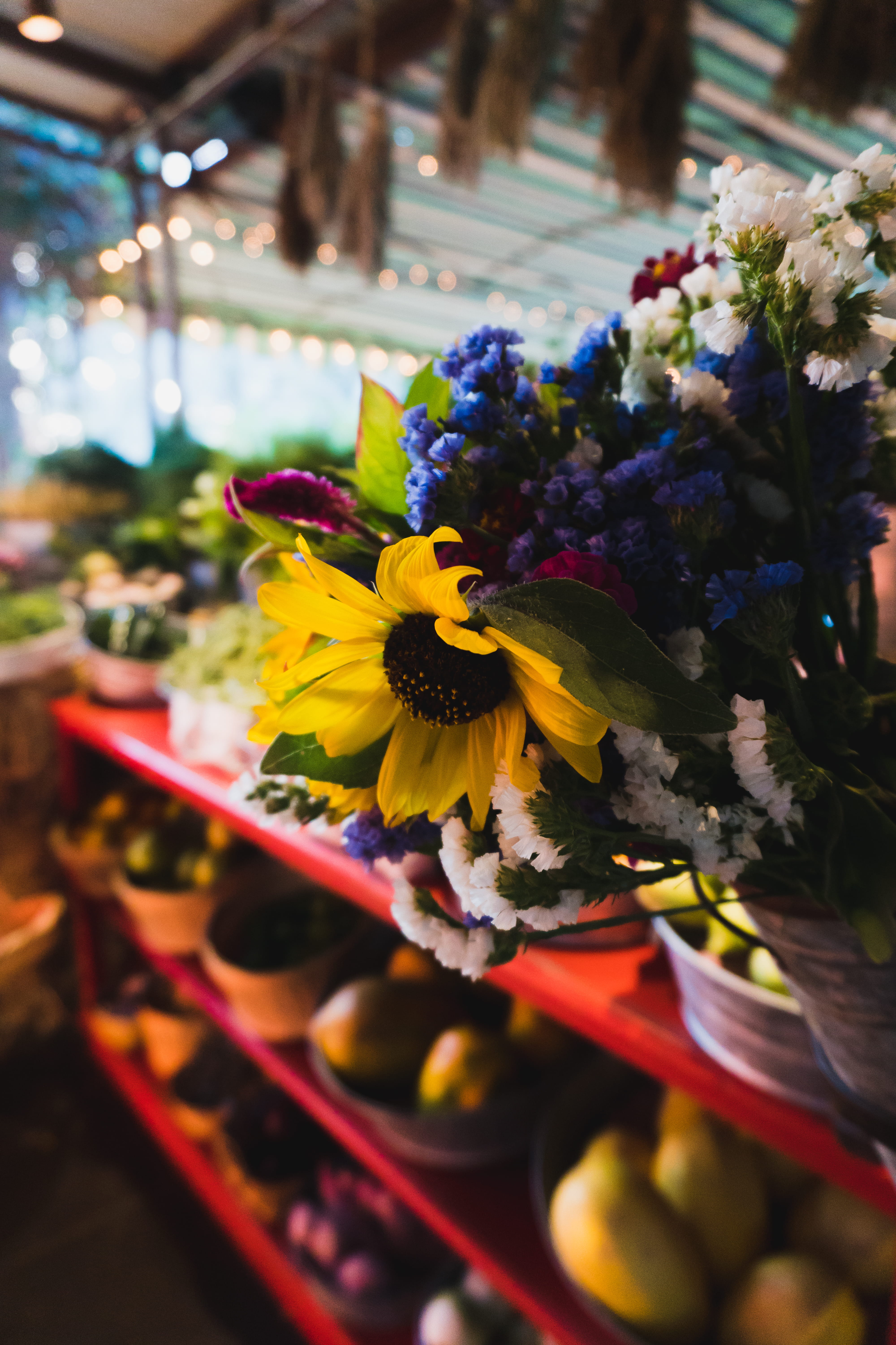 freshness, flower, mexico, market, colorful, flower arrangement, growth, flowers, petal, fragility, focus on foreground, bouquet, selective focus, flower pot, Phone HD Wallpaper