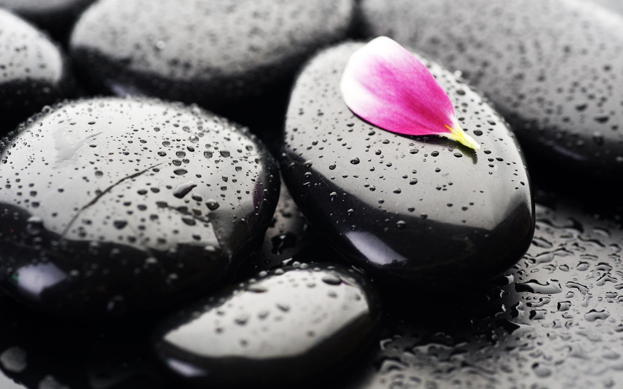 group of Objects, no People, indoors, stone - Object, body Care, drop, pebble, food and drink, wellbeing, nature, macro, healthcare And Medicine, pink color, HD Wallpaper