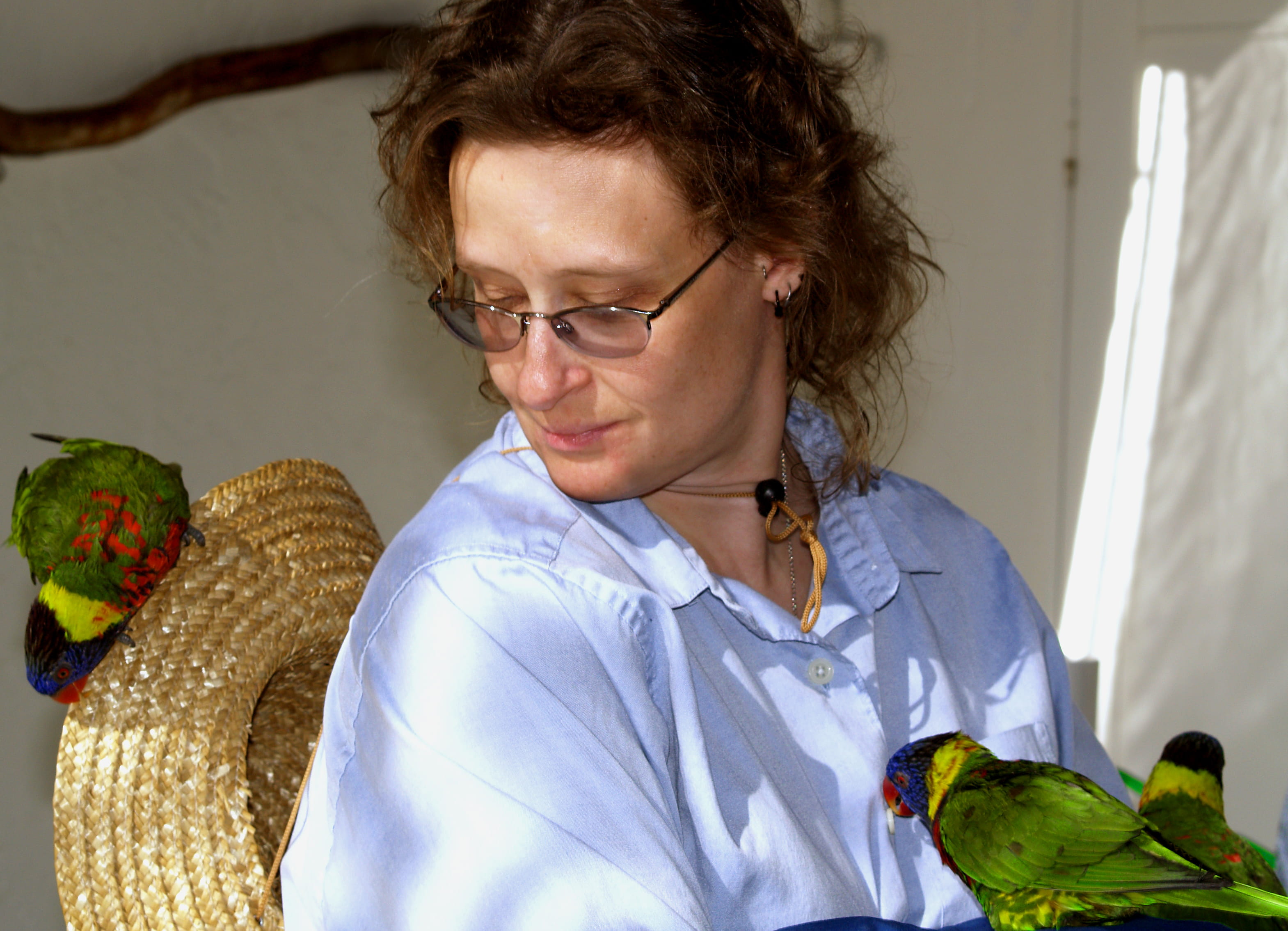 mature adult, united states, fort lauderdale, happiness, headshot, lorikeets, real people, girl, green, shirt, smiling, women, hairstyle, red, yellow, glasses, HD Wallpaper