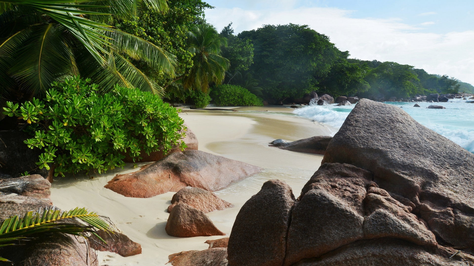 rock, Nature s, beach, tropics, summer, 1080P, s, rocks, palmist, gray, Sea, waves, HD Wallpaper