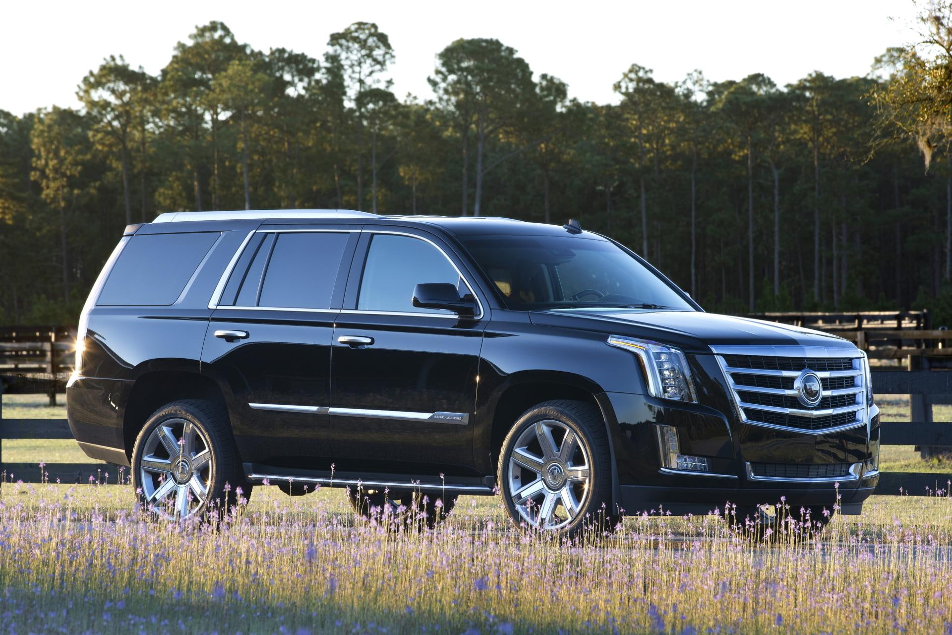 escalade, cadillac, 1080P, platinum, car, HD Wallpaper