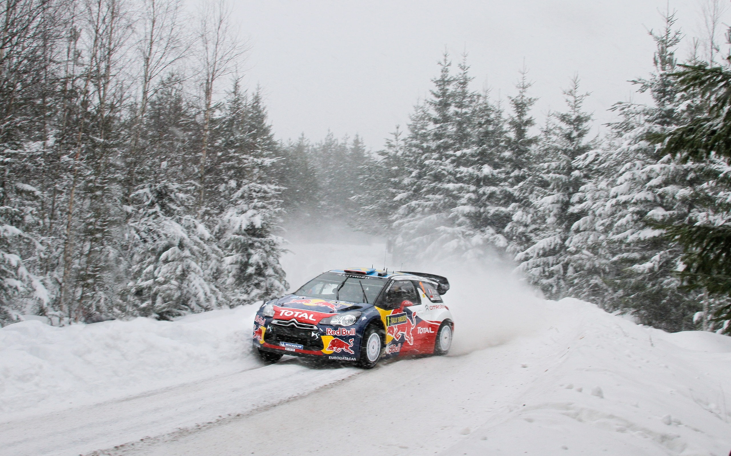 2K, Track, Red Bull, Winter, Total, Blur, Rally, Snow, race, DS3, Citroen, S. Loeb, Tree, HD Wallpaper