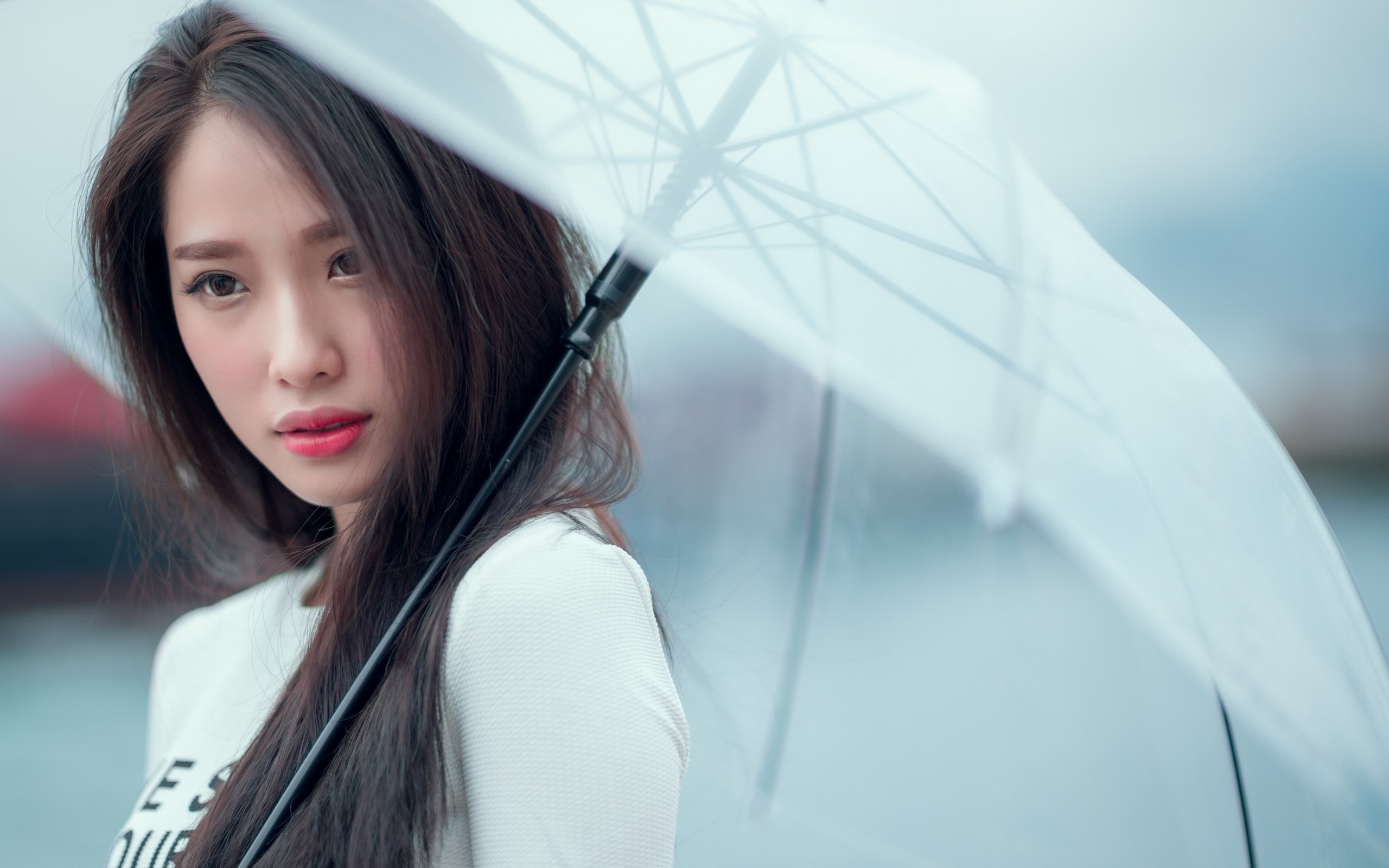 2K, hot girl  2560x1600, HD Wallpaper