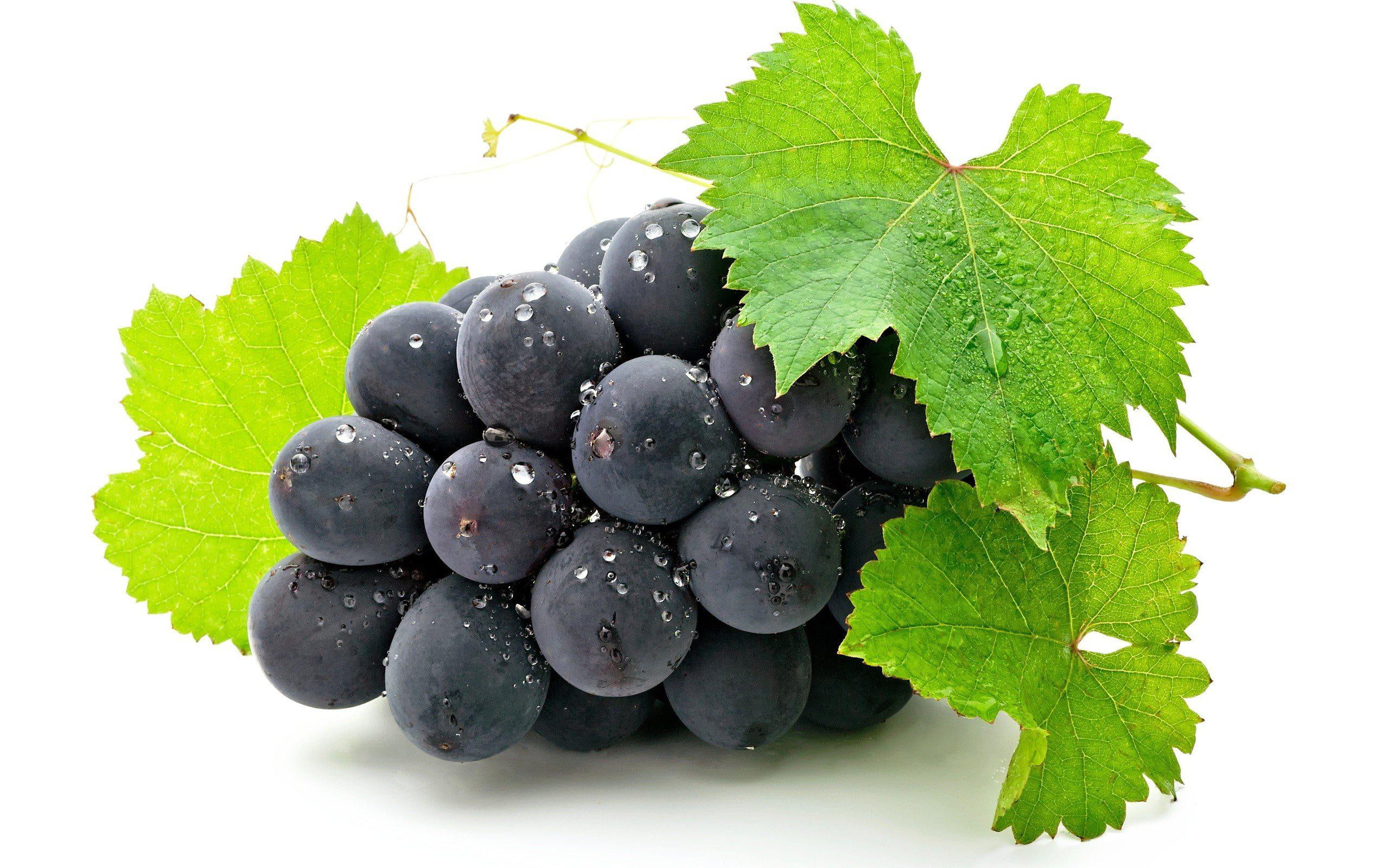 grapes, background, fruits, 2K, HD Wallpaper