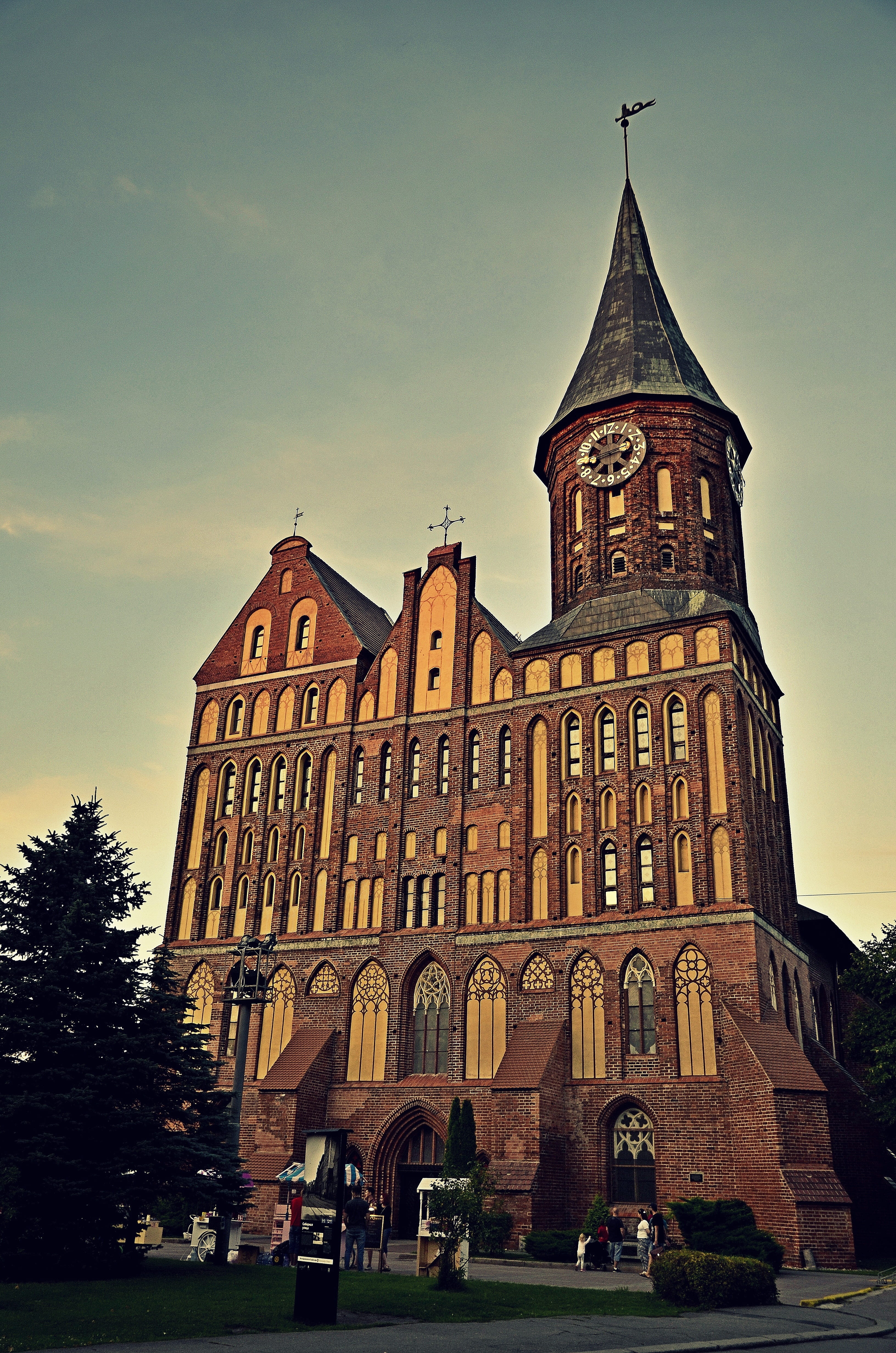 outdoors, nature, clock, kaliningrad, built structure, religion, spire, the façade of the, the past, belief, old, cathedral, konigsberg, architecture, tree, Phone HD Wallpaper