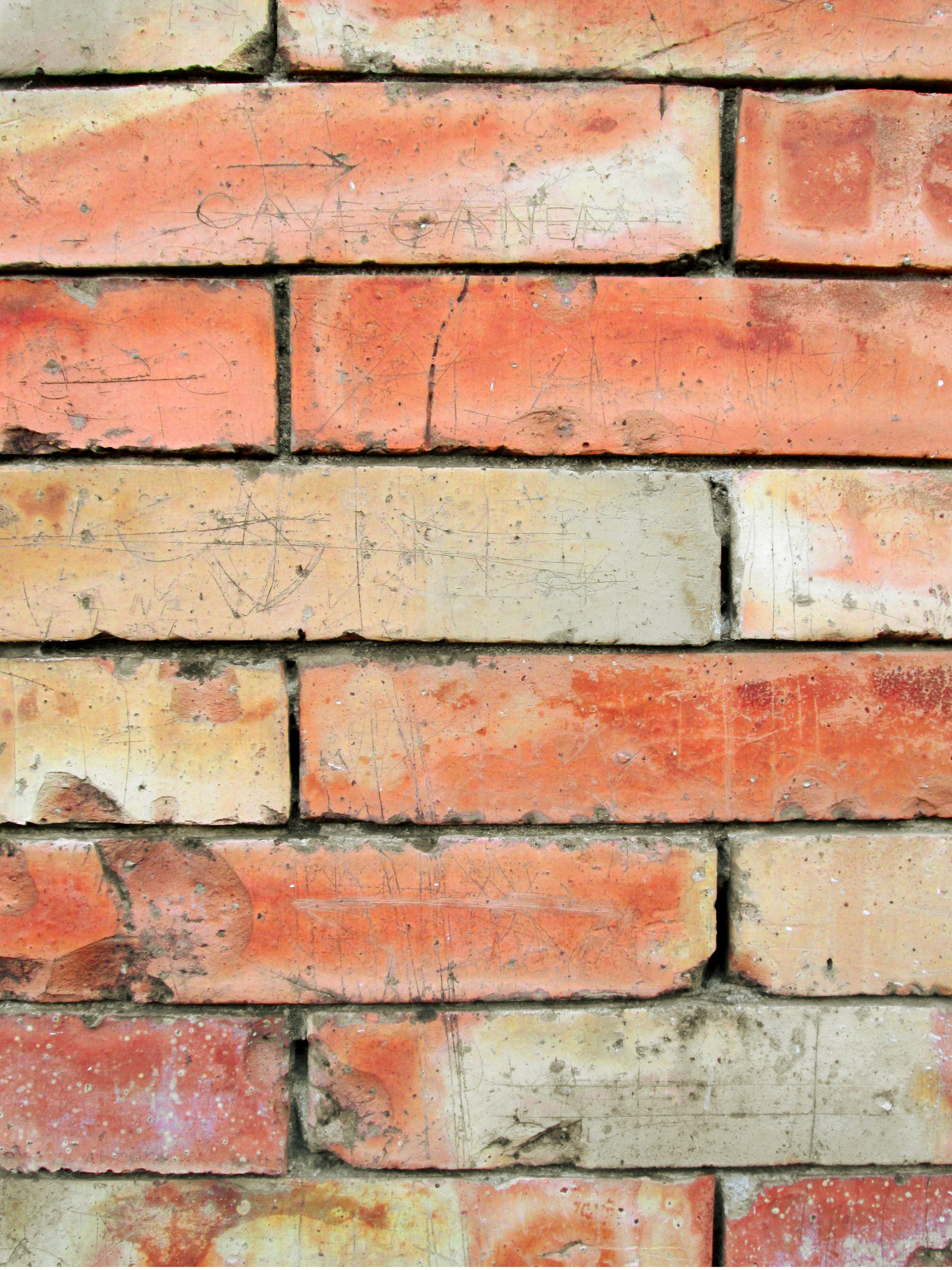 wall, grain, damaged, old, crumpled, textured, grunge, paint, Texture, ancient, colourful, aged, close-up, crack, wall - building feature, building, masonry, Phone HD Wallpaper