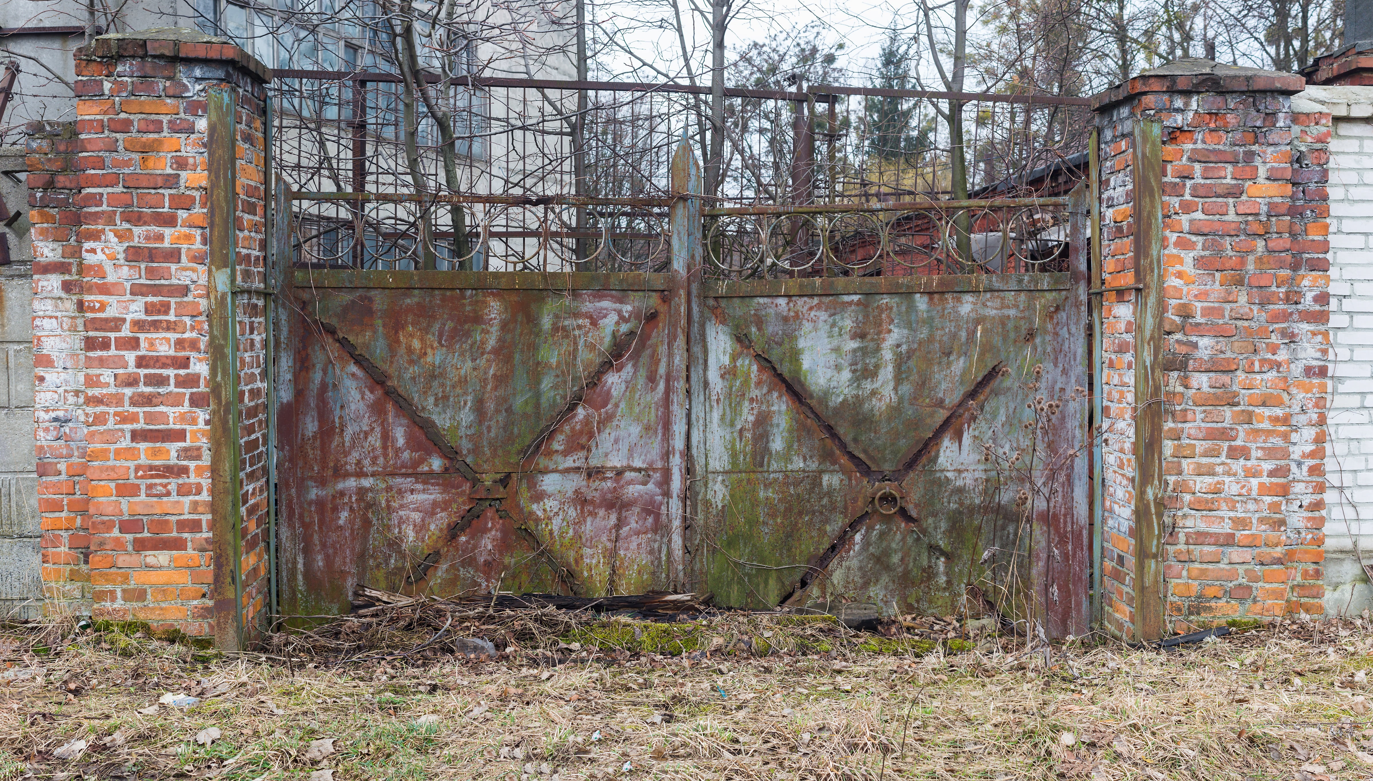 simple, deterioration, abandoned, wall, recession, passage, closed, stalker, closing, door, doors, no people, safety, run-down, 4K, plant, building exterior, HD Wallpaper