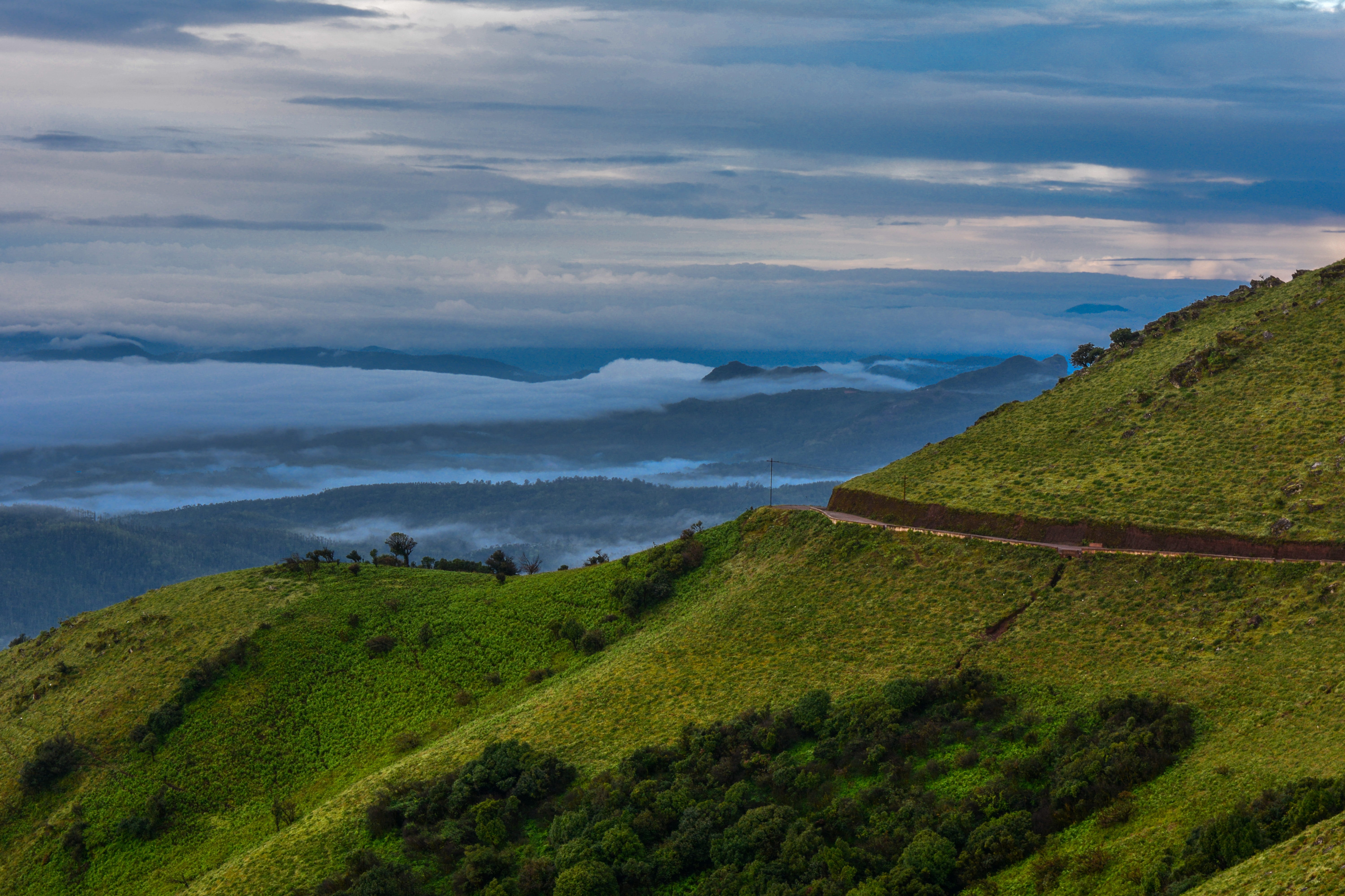 clouds, beauty in nature, 5K, scenics - nature, tree, tranquil scene, cloud - sky, no people, land, landscape, tranquility, nature, tea crop, plant, non-urban scene, HD Wallpaper